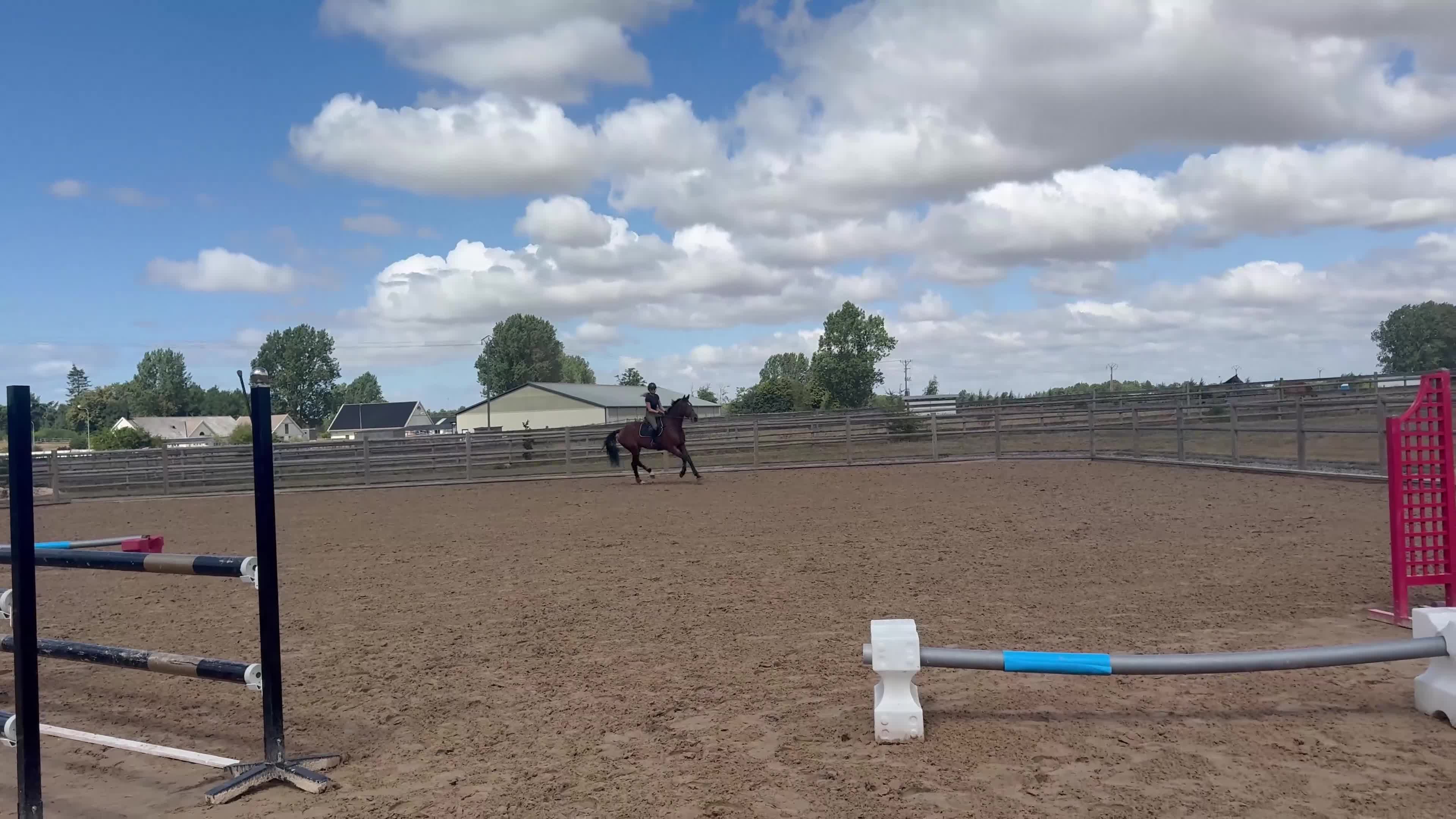 Hoppning hästar till salu: Trevligt sto - Video 1