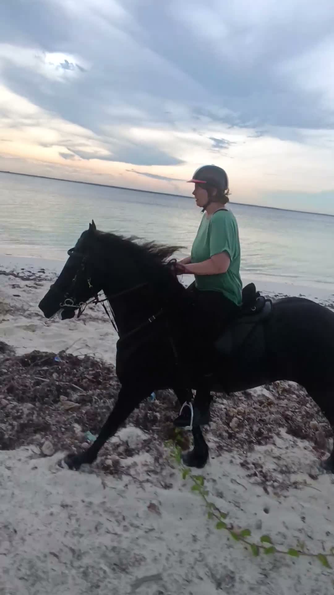  hästjobb finnes: Stalljobb sökes  i Södertälje - Video 1