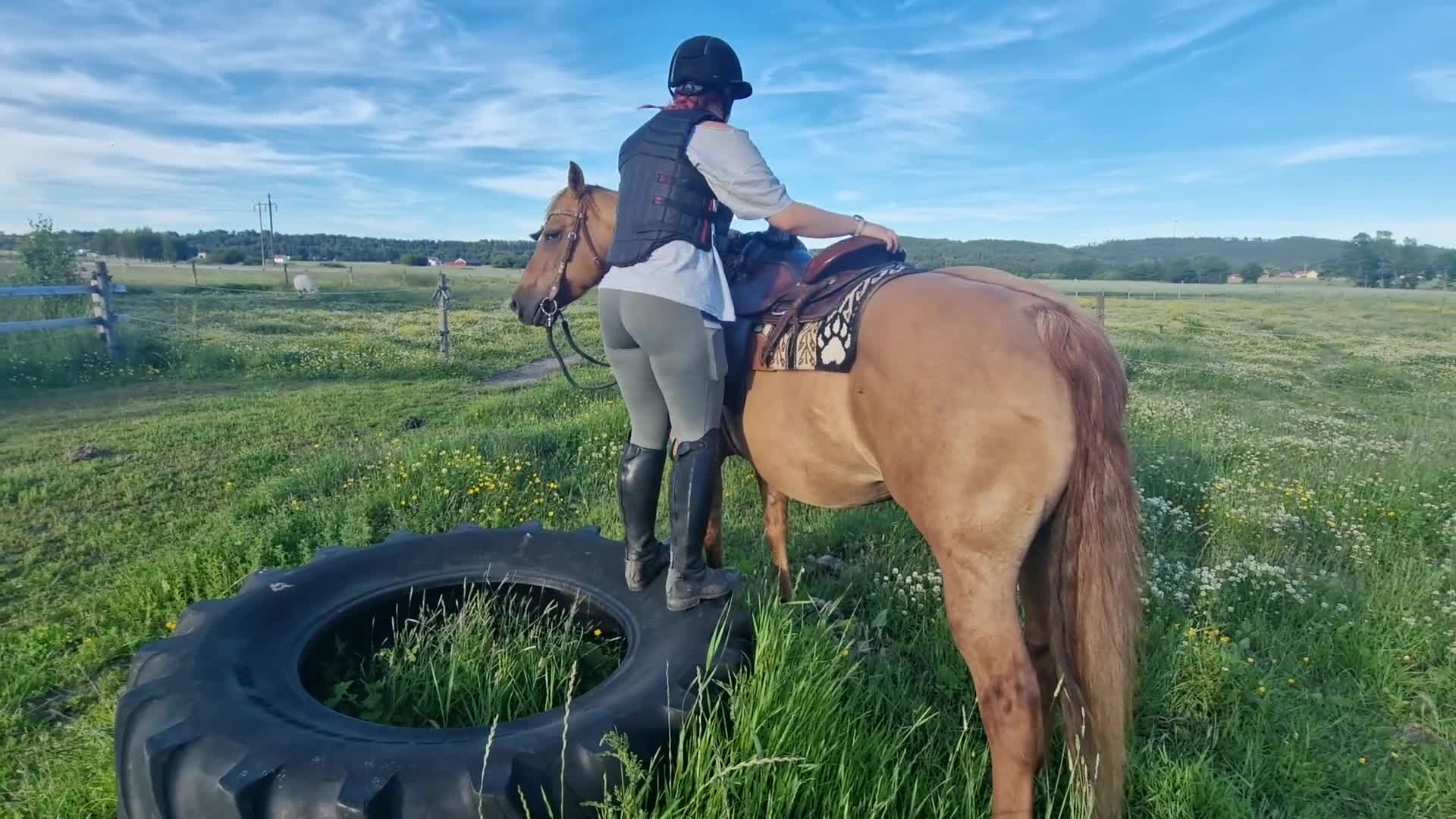 Western hästar till salu: Vackert reiningstammat sto - Video 2