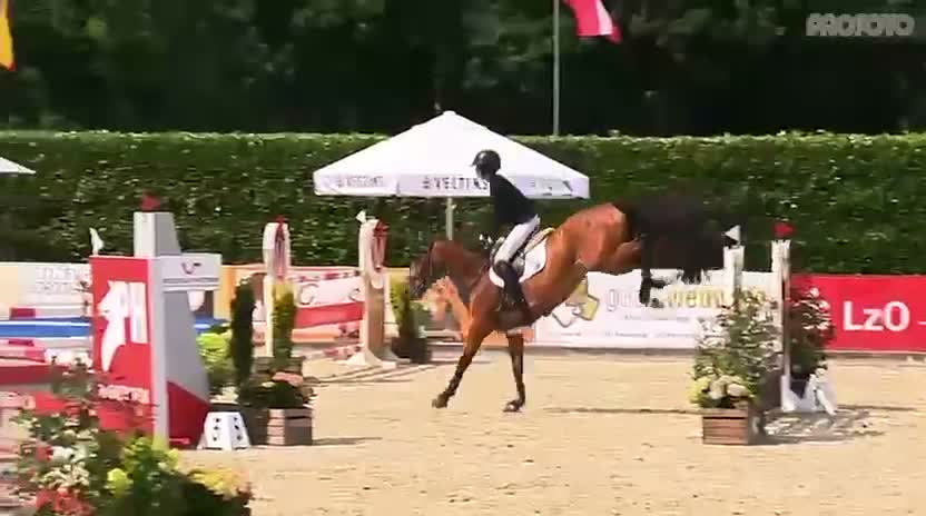 Hoppning hästar till salu: Childrens häst med stort hjärta! - Video 1