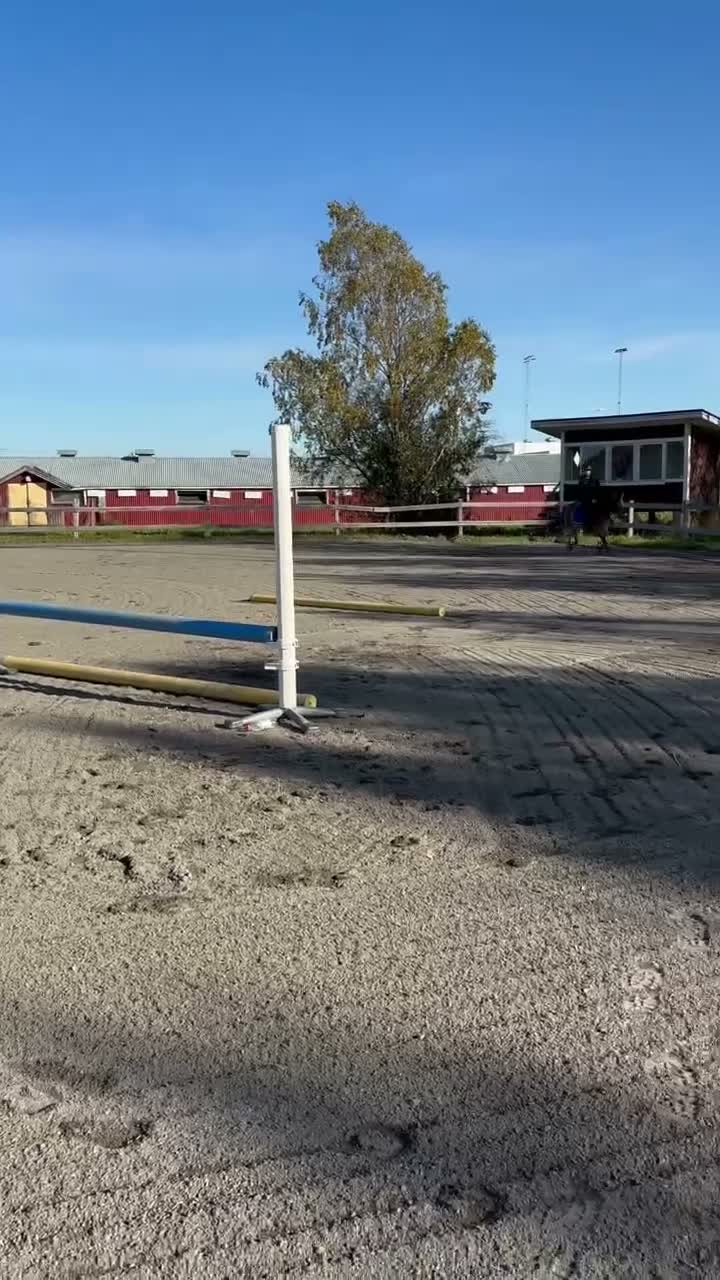 Allround hästar till salu: En bästa kompis🎀 - Video 1
