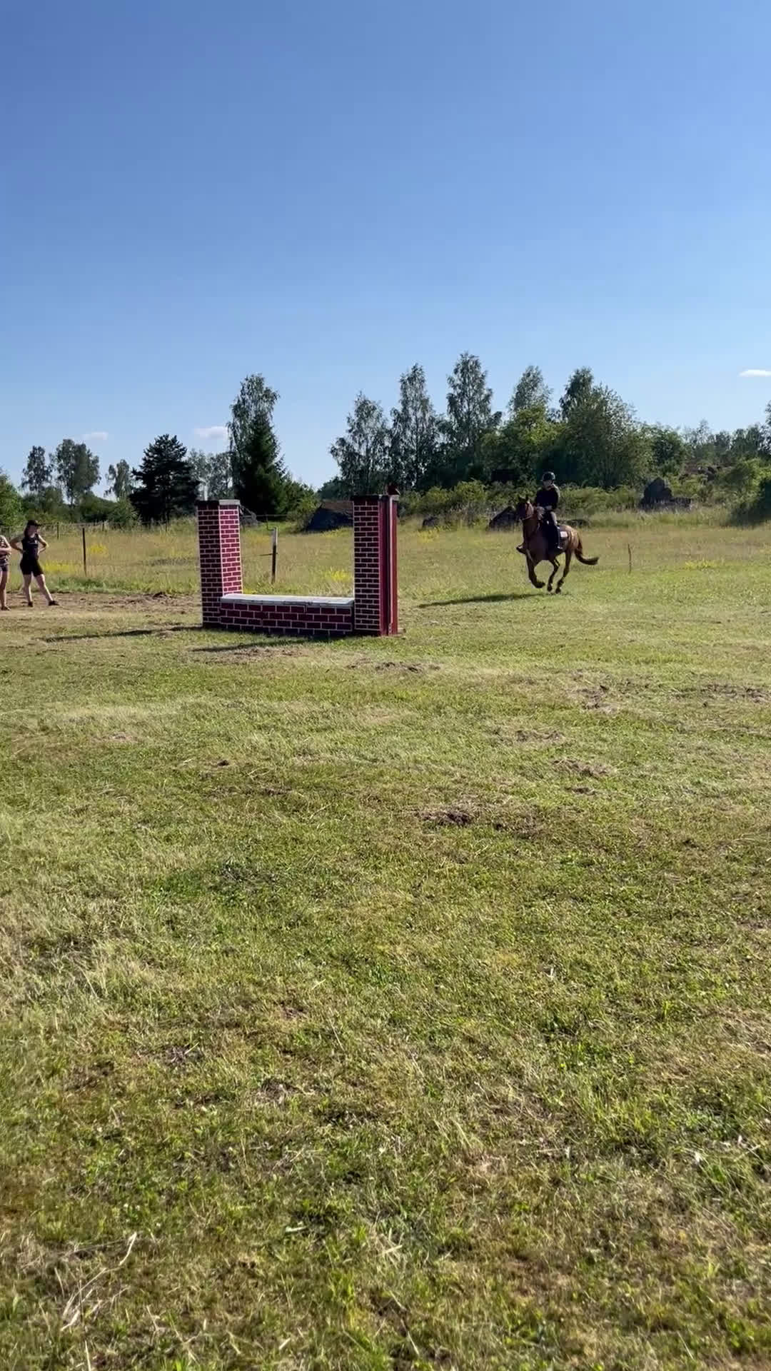 Allround hästar till salu: Allroundponny med stor personlighet❤️ i Huddinge - Video 3