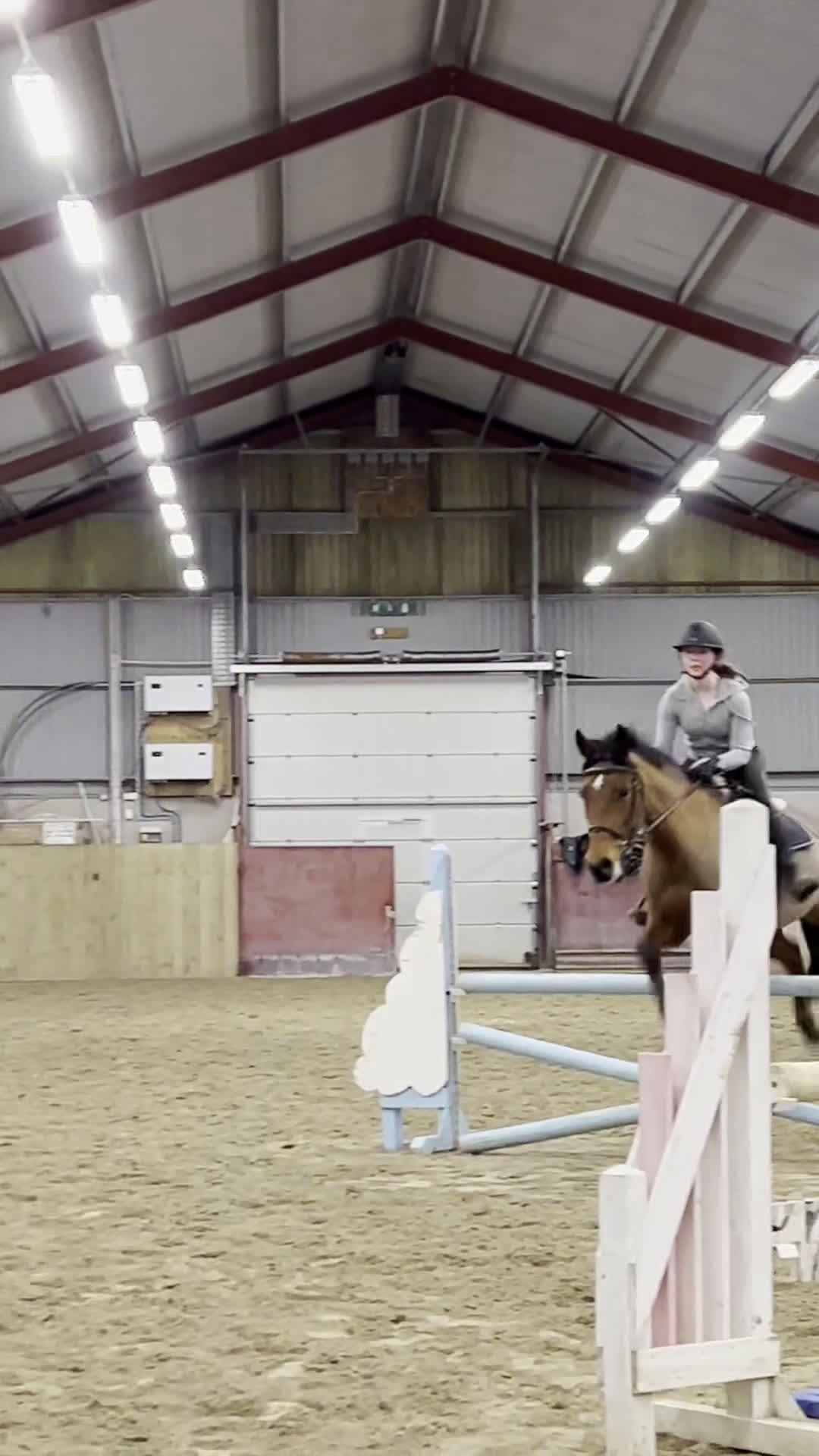 Allround hästar till salu: Fantastiskt sött sto i Tomelilla - Video 3