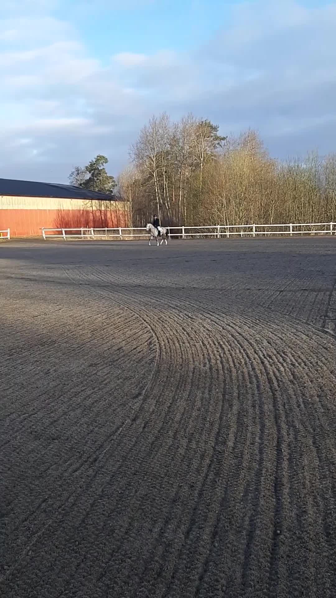 Allround hästar till salu: Welshponny kat B - Video 2