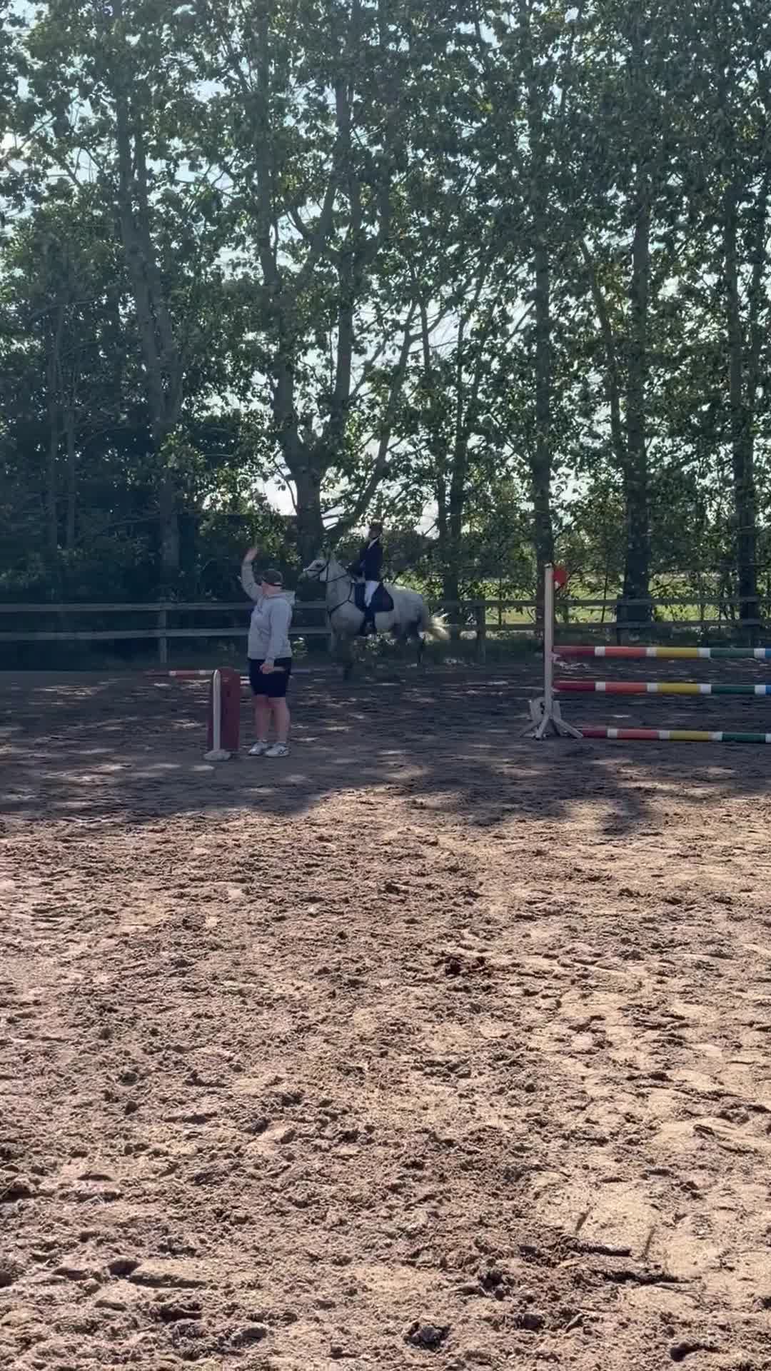 Hoppning hästar till salu: Bonnie Gray – Irsk Max Kategori 1 Springpony – 9år - Video 2