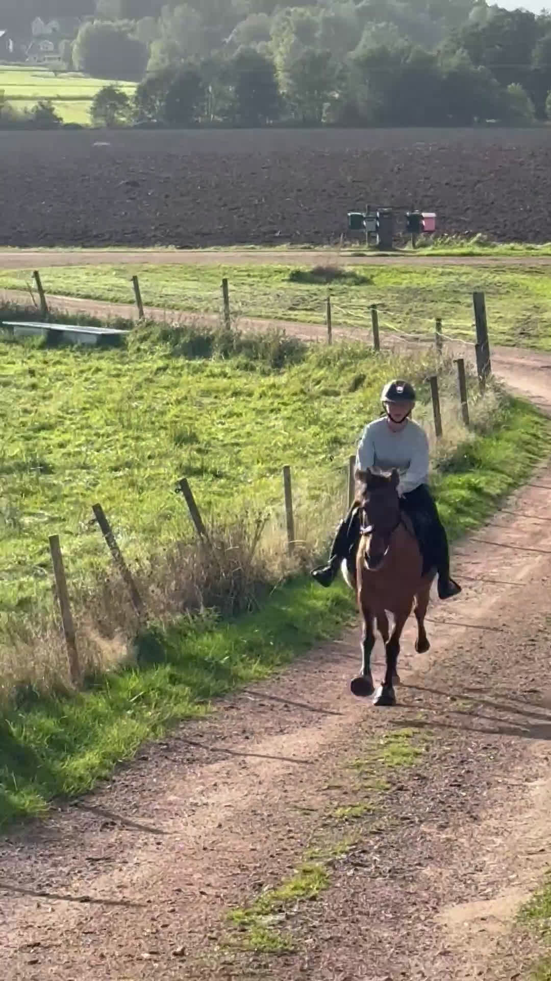  foderhäst sökes: Söker foderhäst/ponny i Torslanda - Video 1