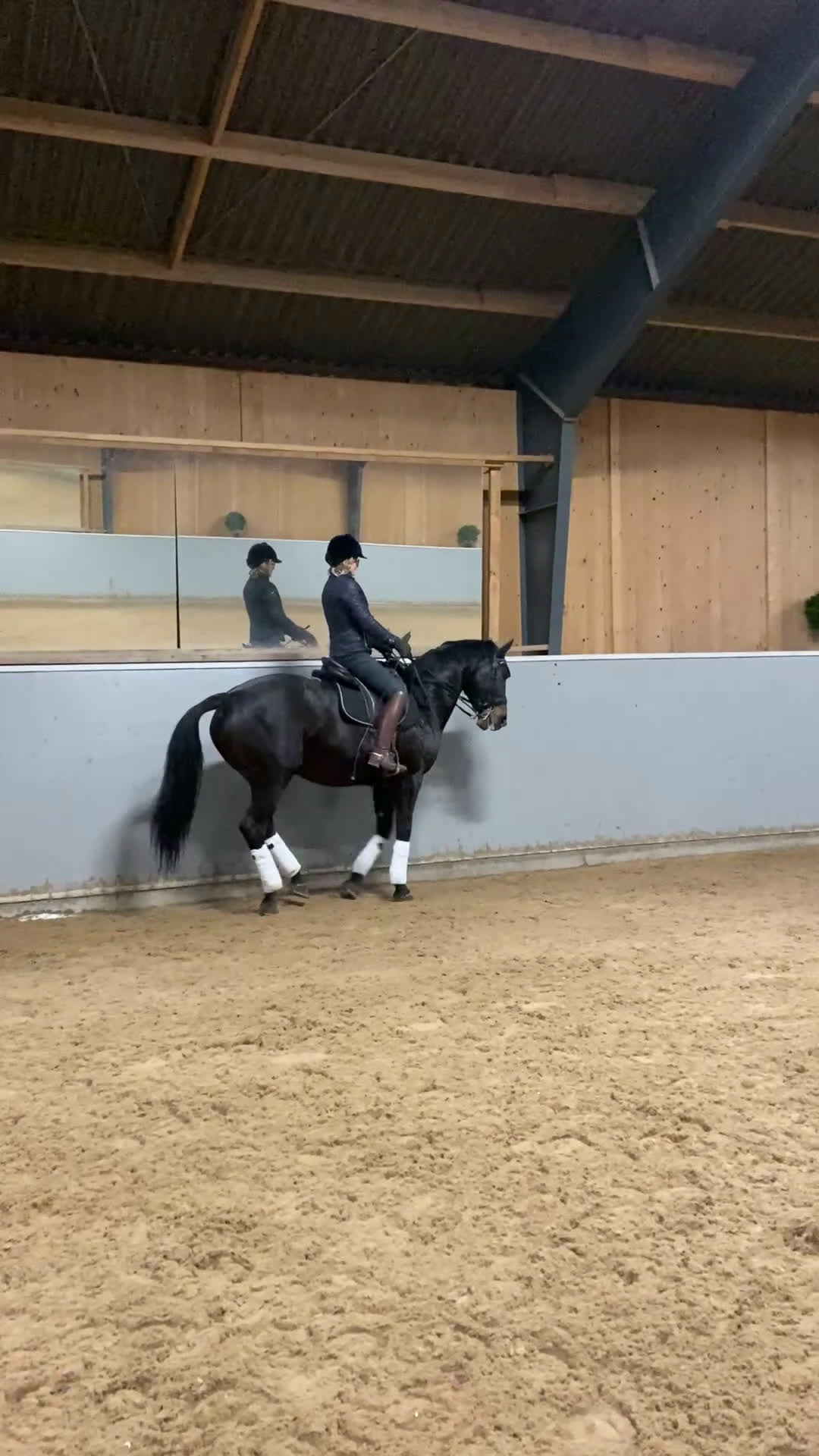  medryttarhäst finnes: Dressyrhäst söker medryttare. GP utbildad. i Eldsberga - Video 2