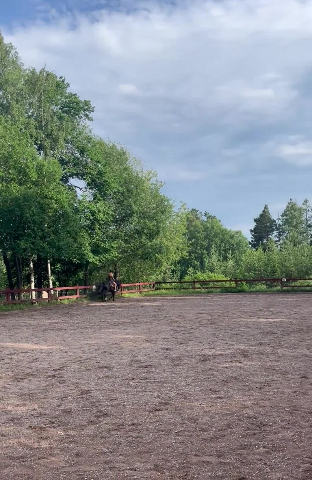 Allround hästar till salu: Oslipad diamant! - Video 4
