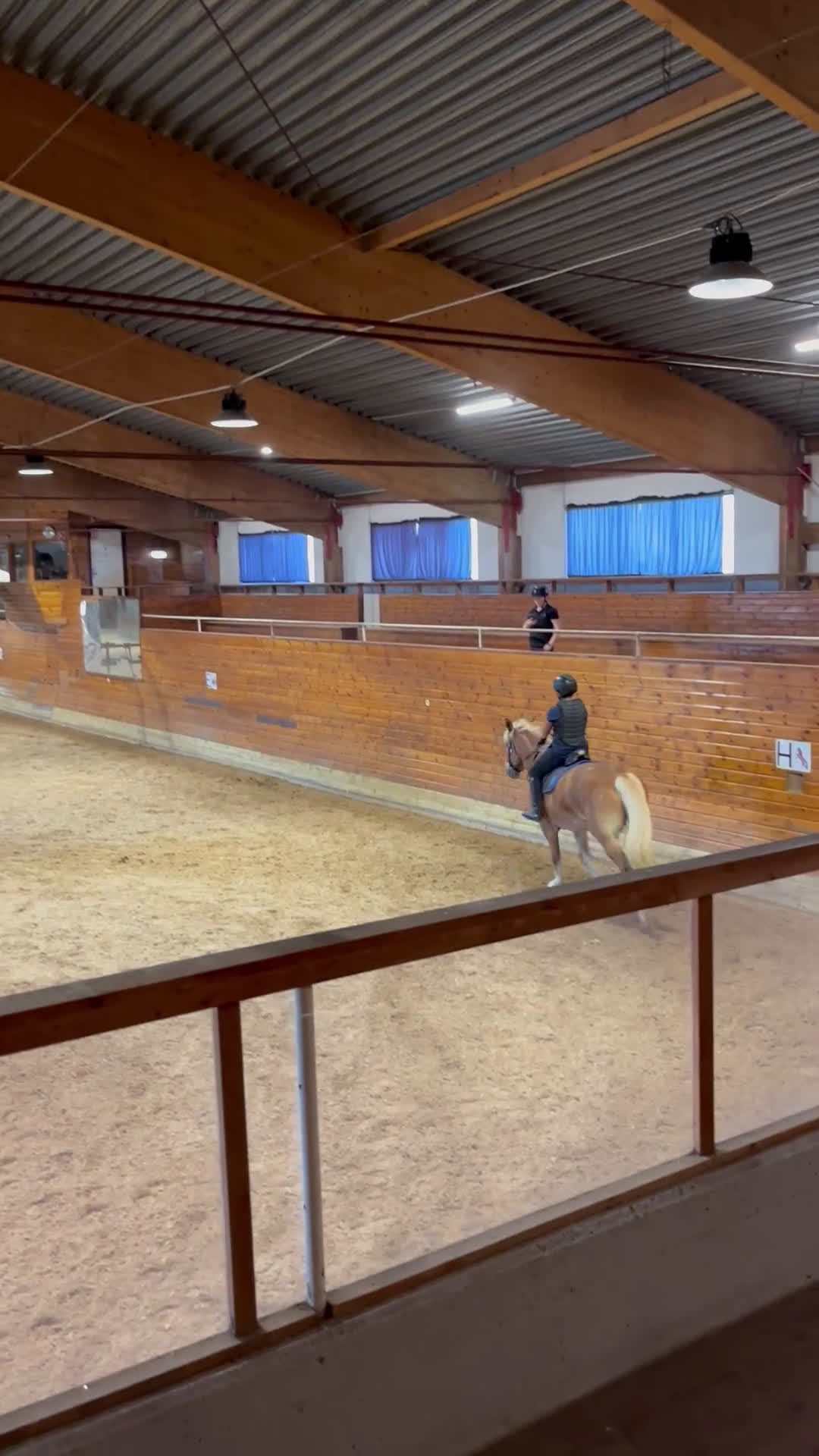  medryttarhäst finnes: Medryttarhäst sökes! i Sala - Video 1