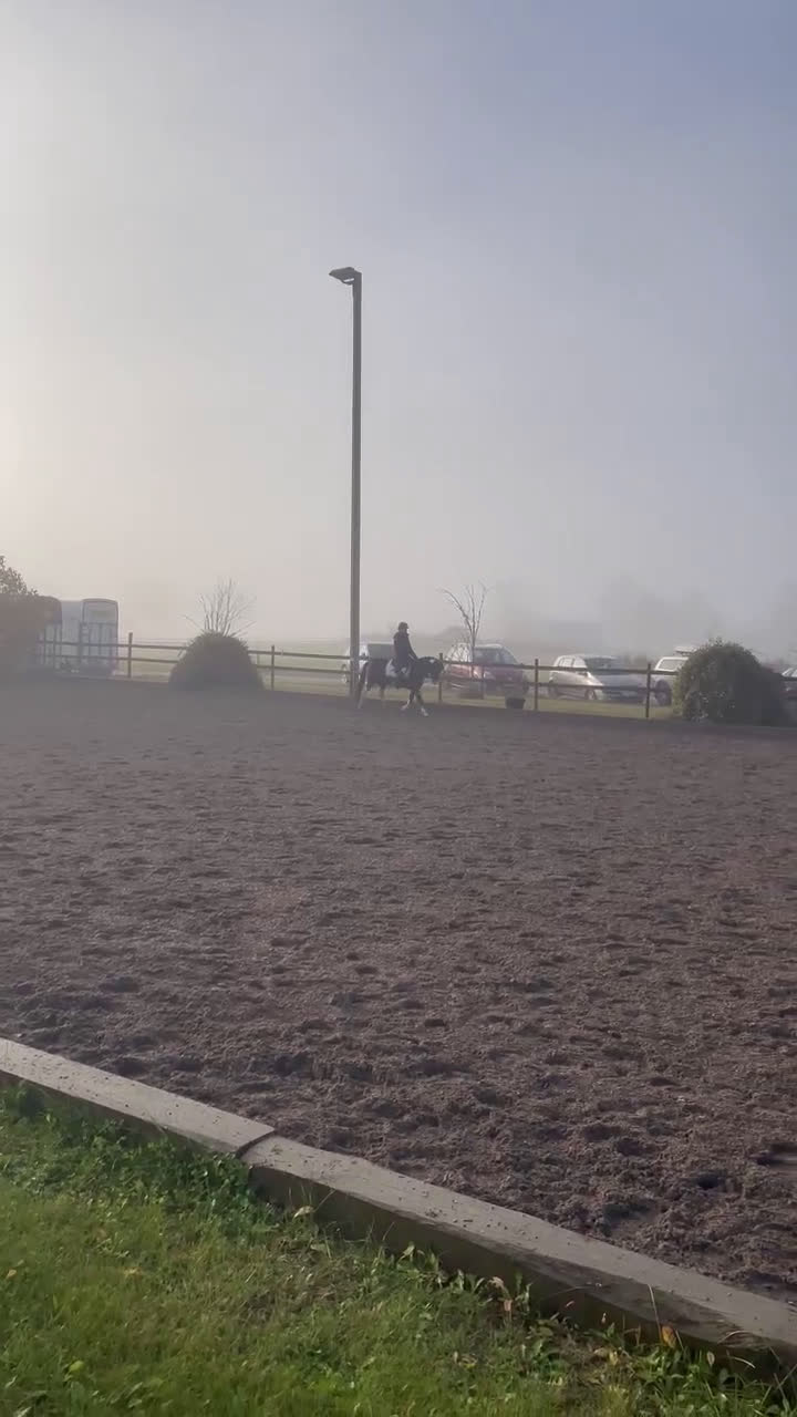 Allround hästar till salu: Talangfull och vacker i Storvreta - Video 3