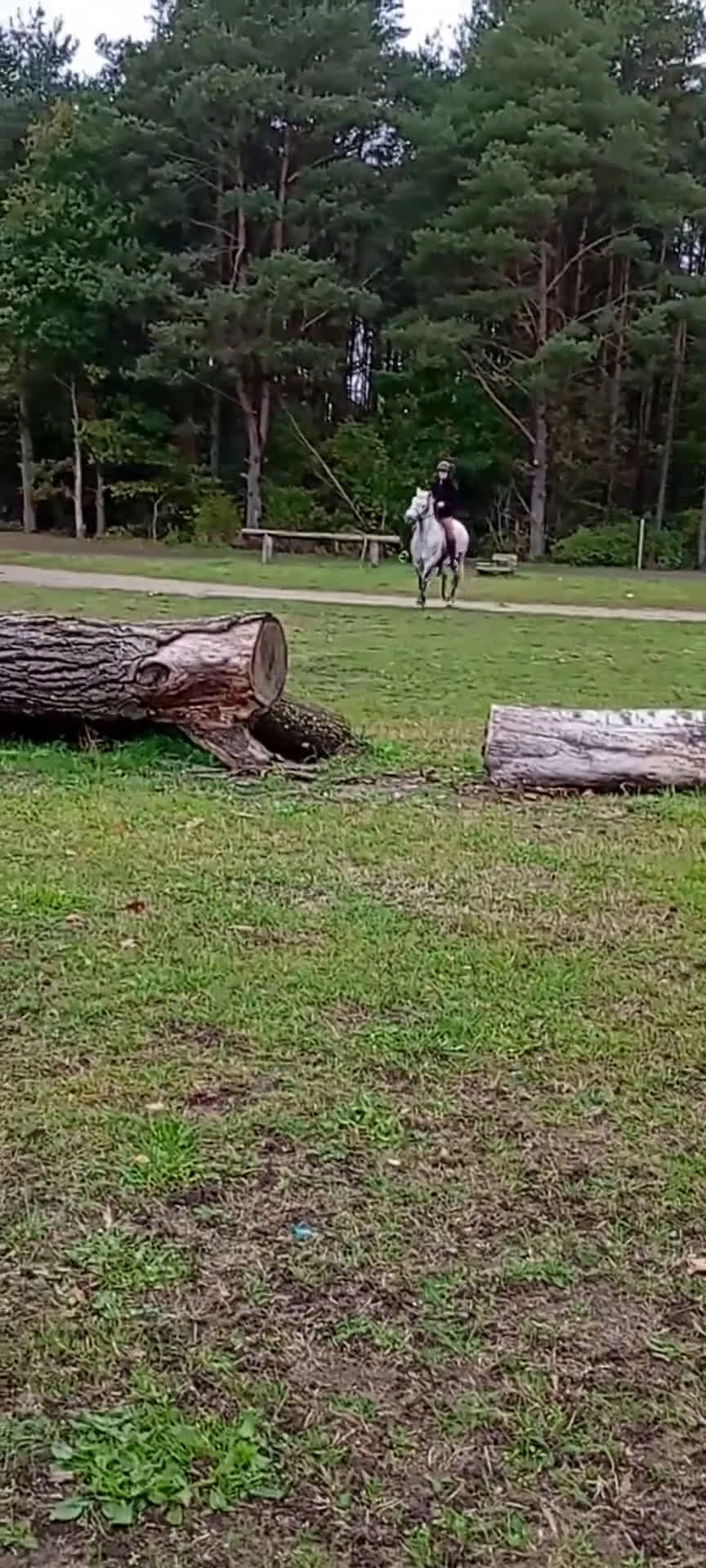 Hoppning hästar till salu: Drömponny 🌟  - Video 4