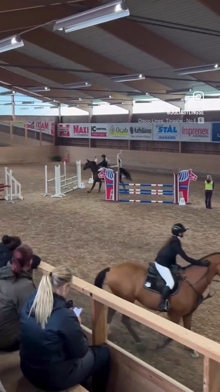 Hoppning hästar till salu: Hopp/fälttävlanshäst med allt man söker! 🌟 i Rättvik - Video 3