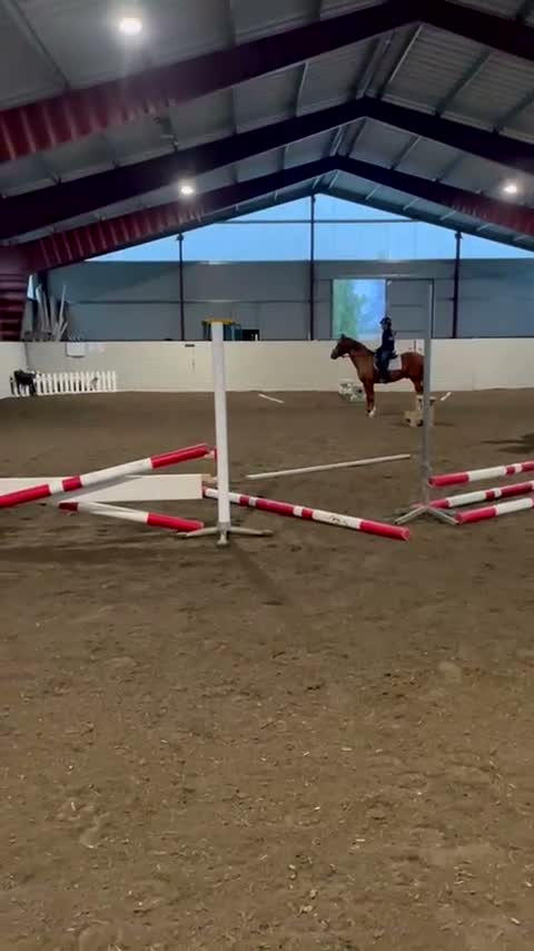 Allround hästar till salu: Trevlig vänlig allround ponny i Kil - Video 1