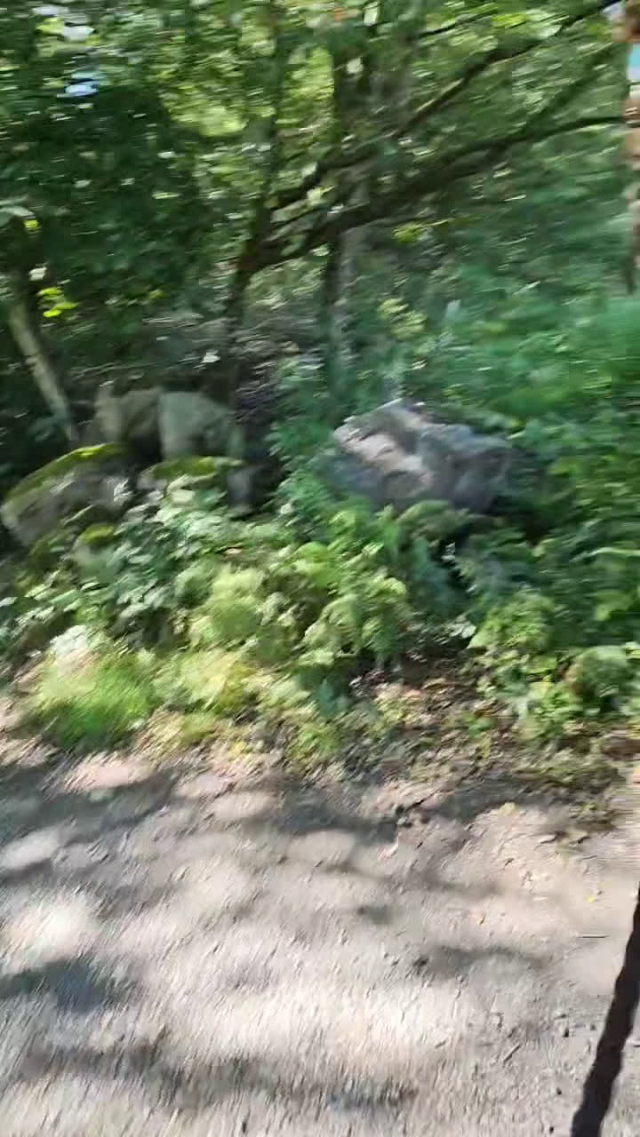 Allround hästar till salu: Lyxig ridtravare - Video 2