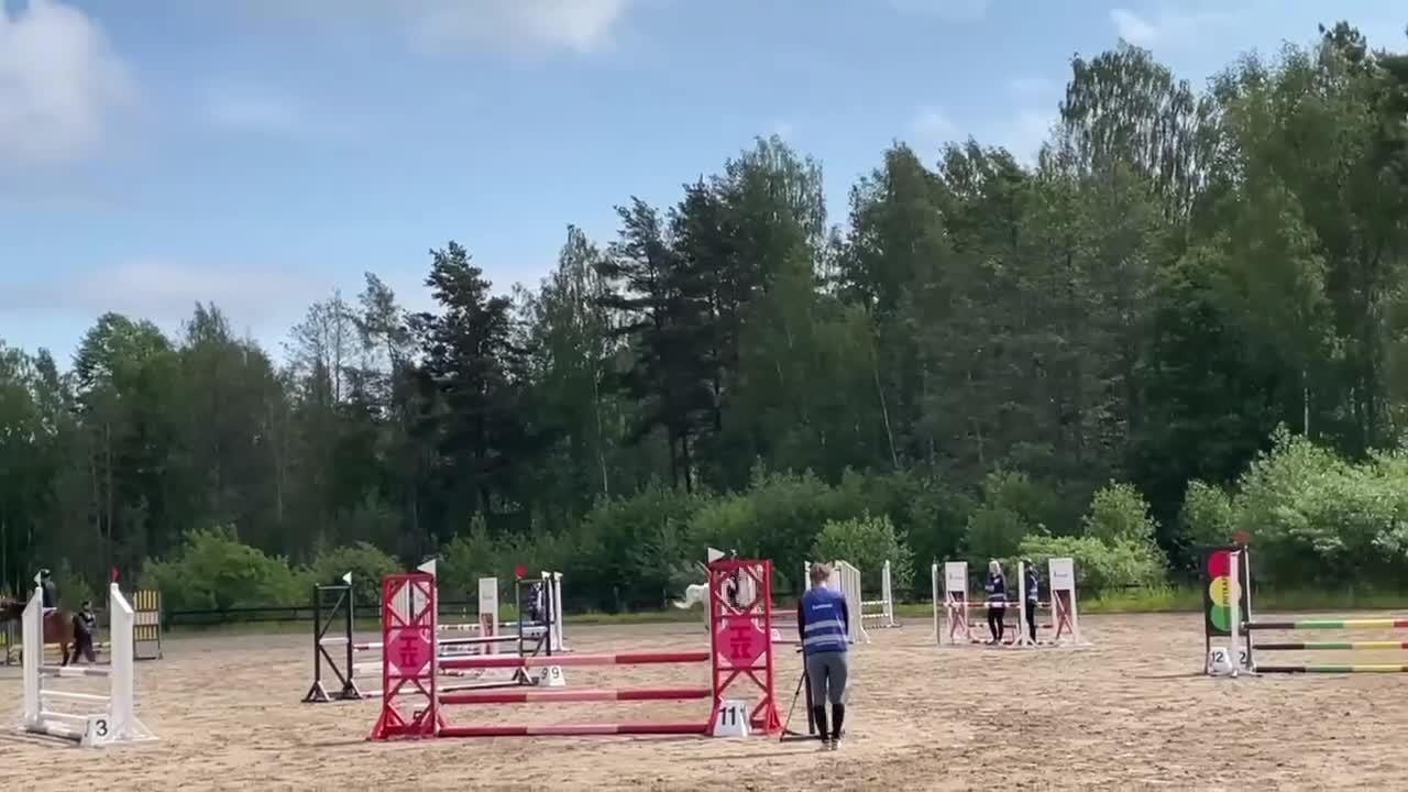 Allround hästar till salu: Snäll läromästare, bästa vän!  - Video 1