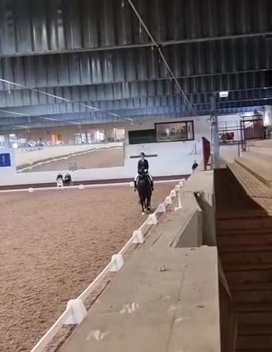 Dressyr hästar till salu: Snäll, Snygg och med stor ridbarhet!  i Åkers Styckebruk - Video 2