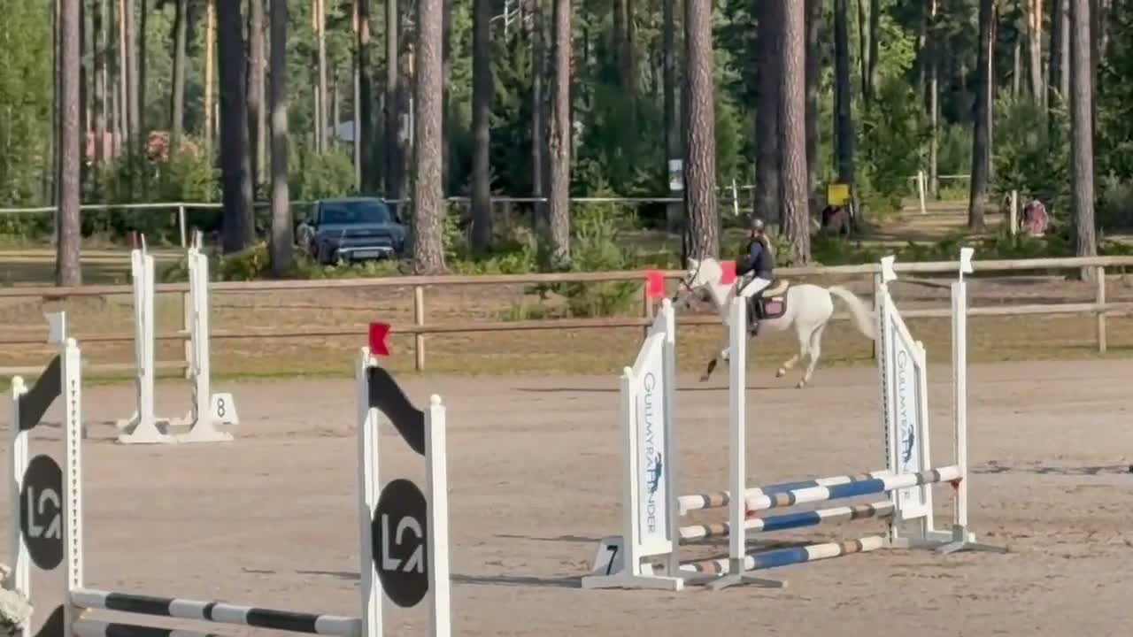 Allround hästar till salu: Megan - Video 1