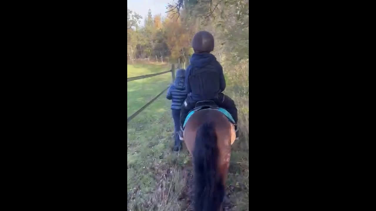  medryttarhäst finnes: Vi söker medryttare till vår A-ponny! i Åled - Video 4