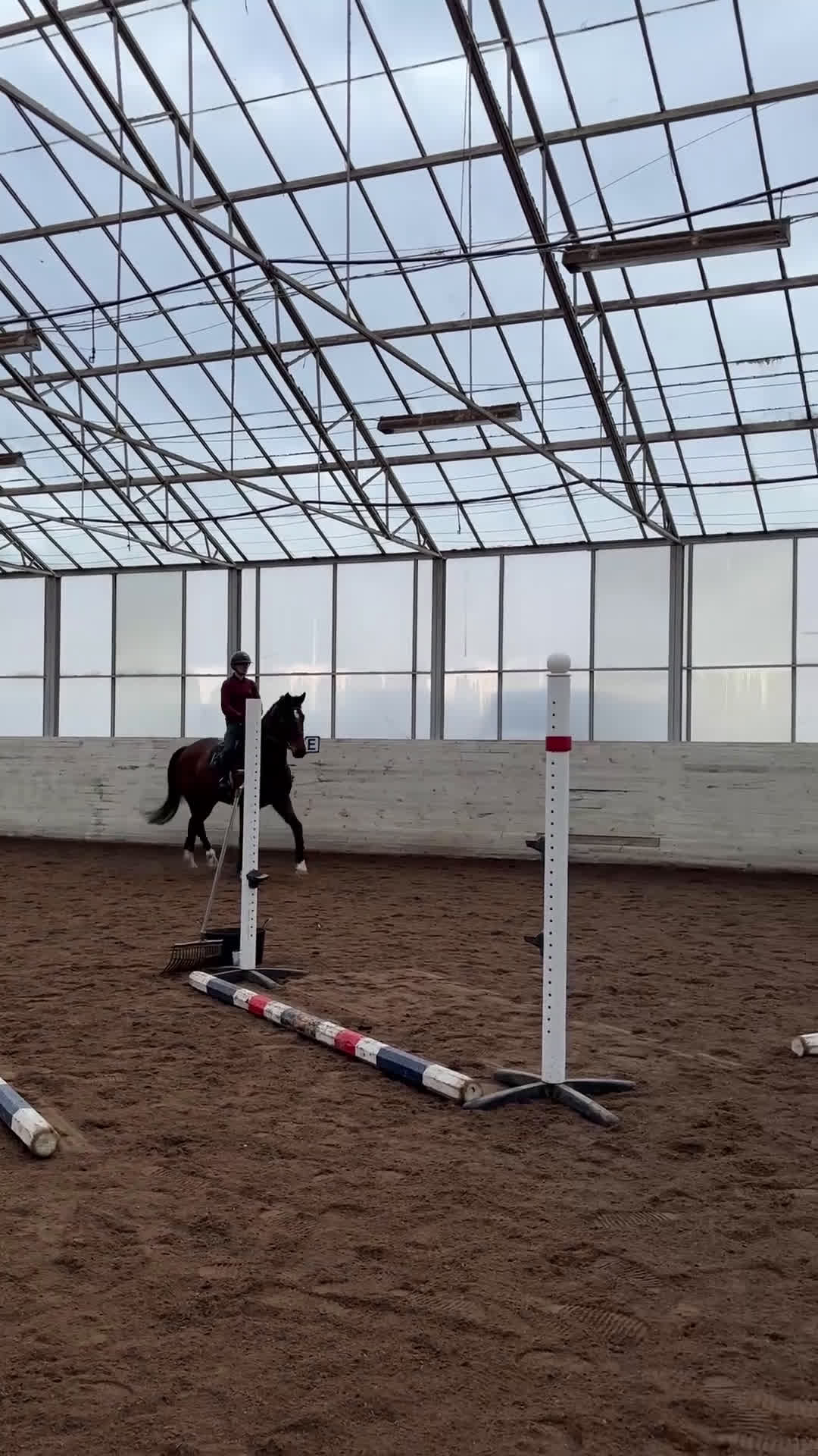 Hoppning hästar till salu: Fint sto till salu!  - Video 3