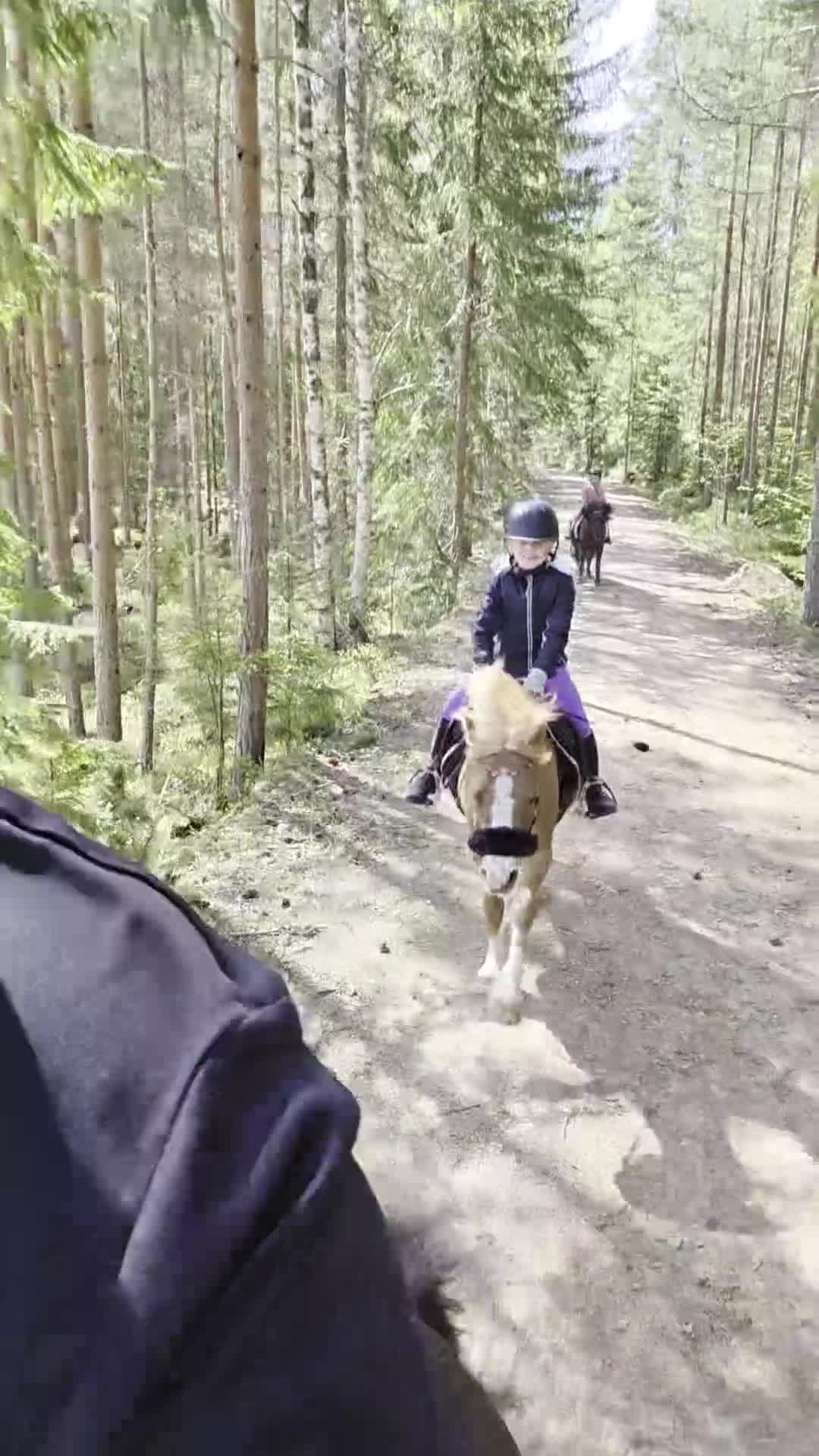 Allround hästar till salu: Sött whelssto, barnponny. - Video 2