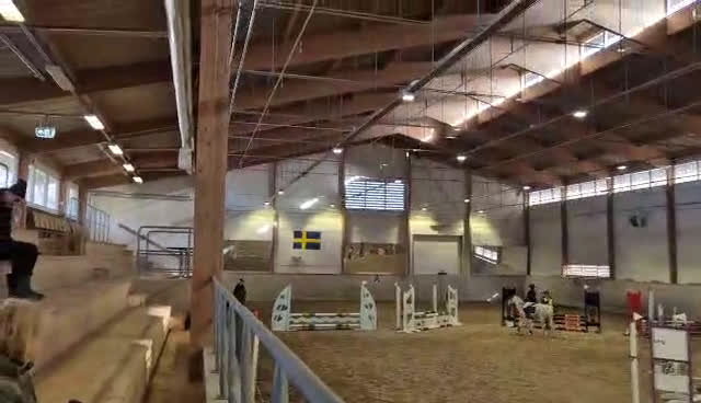 Dressyr hästar till salu: Supermaxad läromästare med hög ridbarhet i Värmdö - Video 5