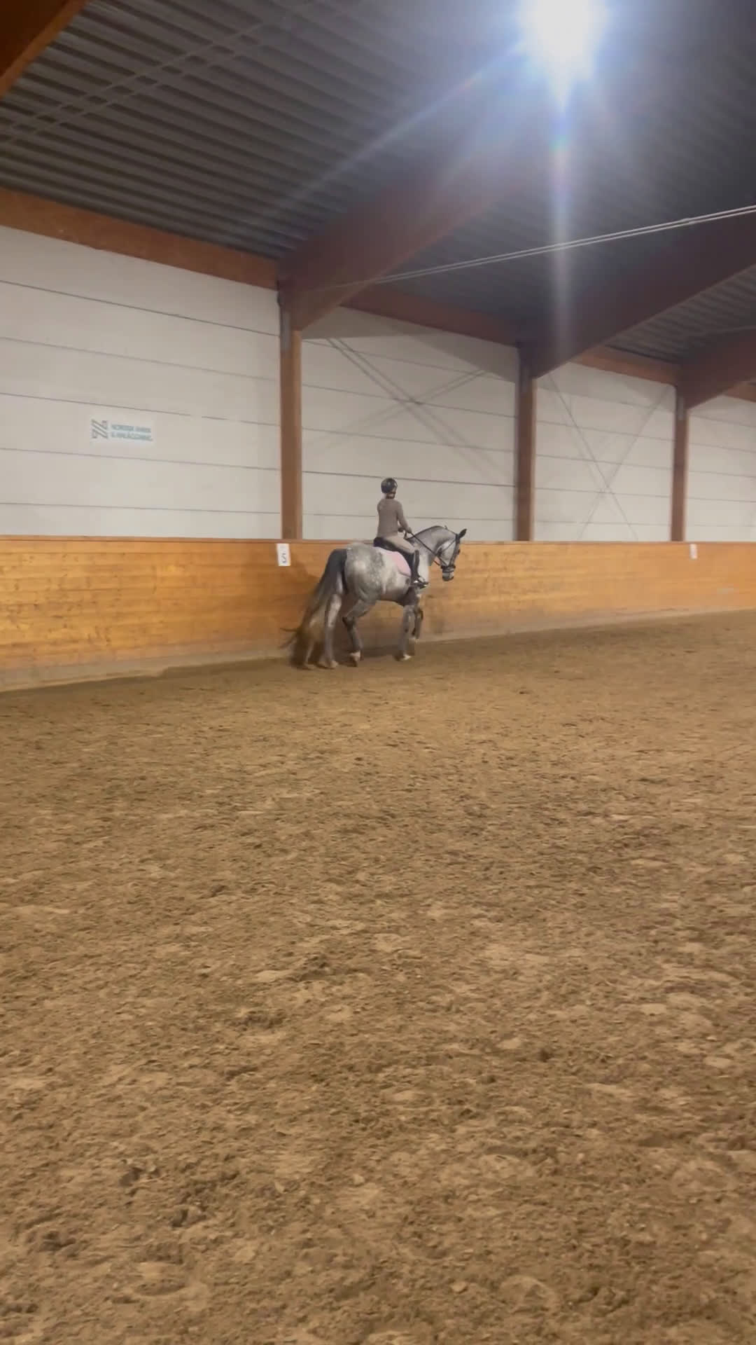 Hoppning hästar till salu: Fynd till rätt ryttare  i Norrköping - Video 2