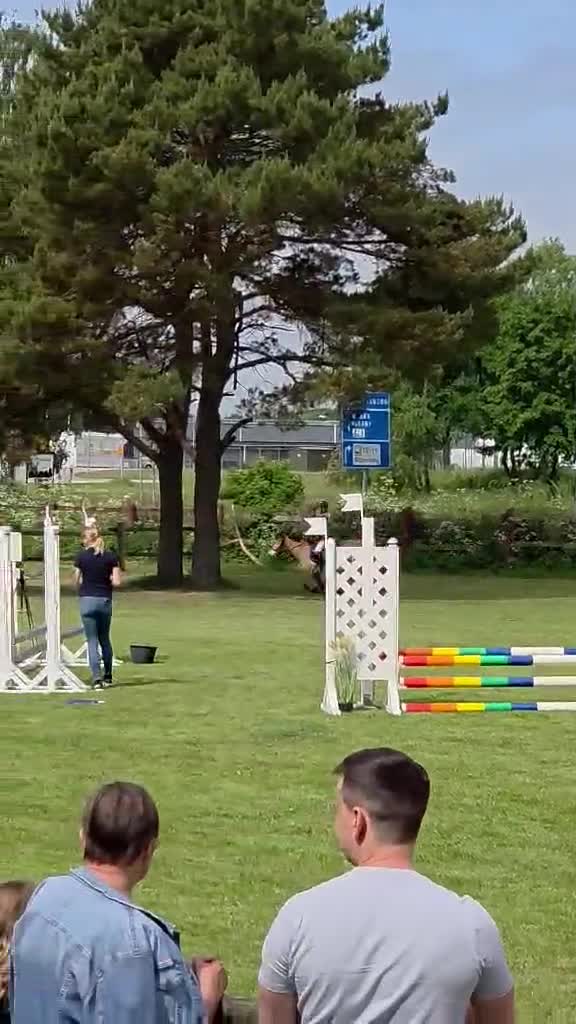Hoppning hästar till salu: Extremt snäll barnponny - Video 1