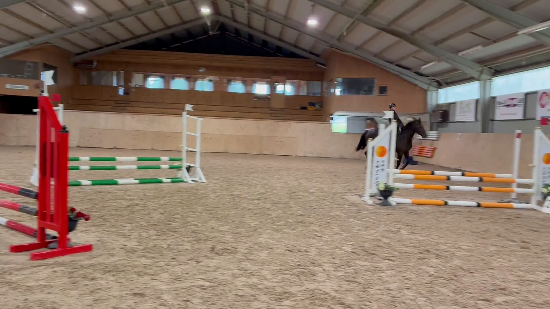 Hoppning hästar till salu: SWB 4åring i Knislinge - Video 1