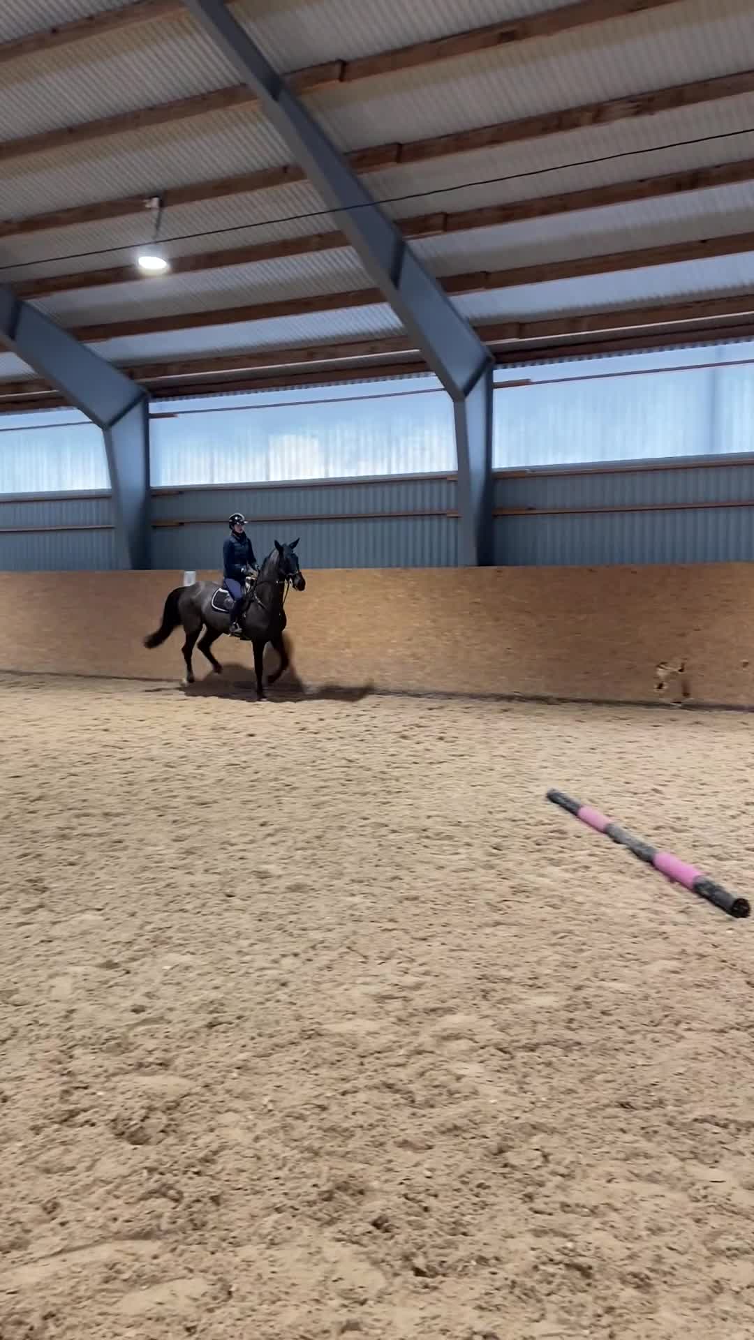 Allround hästar till salu: 🌟Projekthäst🌟 - Video 1