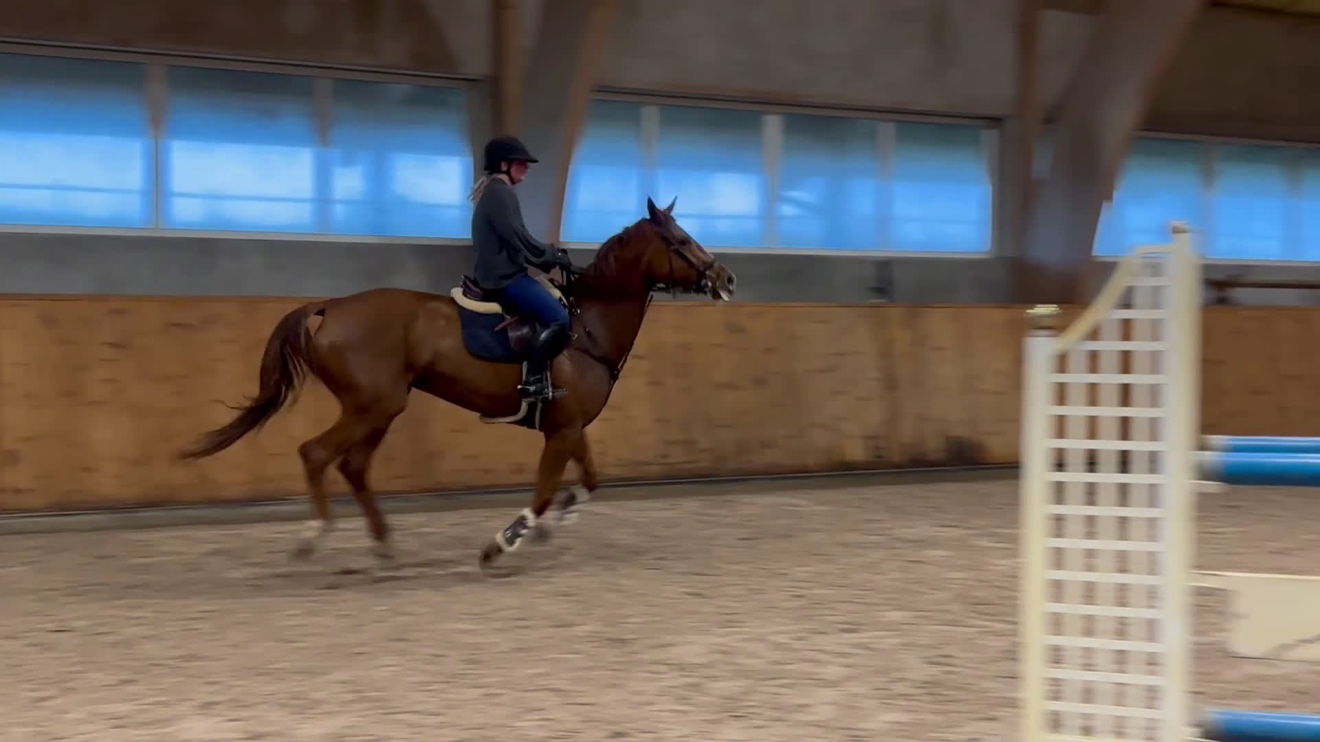 Hoppning hästar till salu: Trevligt sto med mycket potential! i Vellinge - Video 2