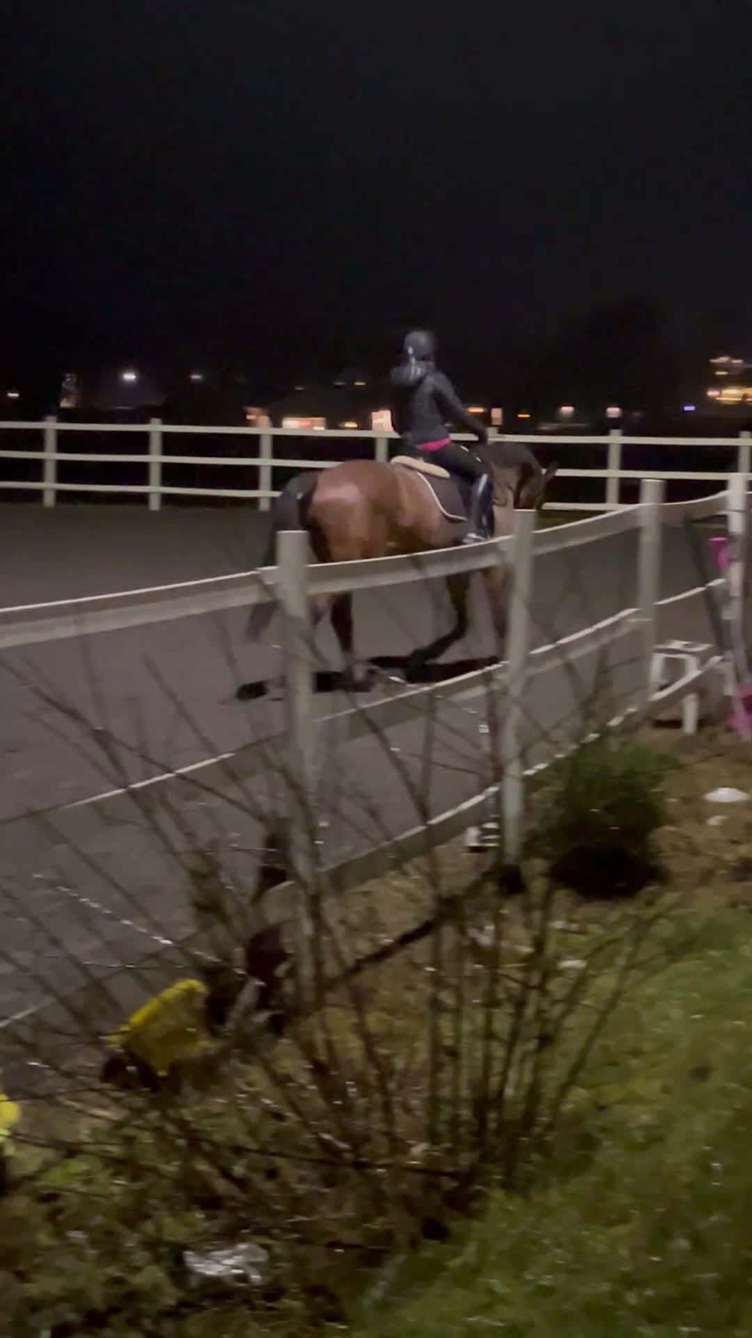 Allround hästar till salu: Pålitlig hobbyhäst i Upphärad - Video 2