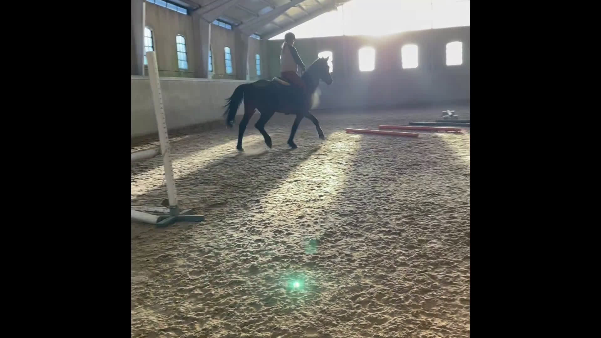 Hoppning hästar till salu: 🌟Formbar stjärna för hoppning eller fälttävlan🌟 i Vänersborg - Video 1