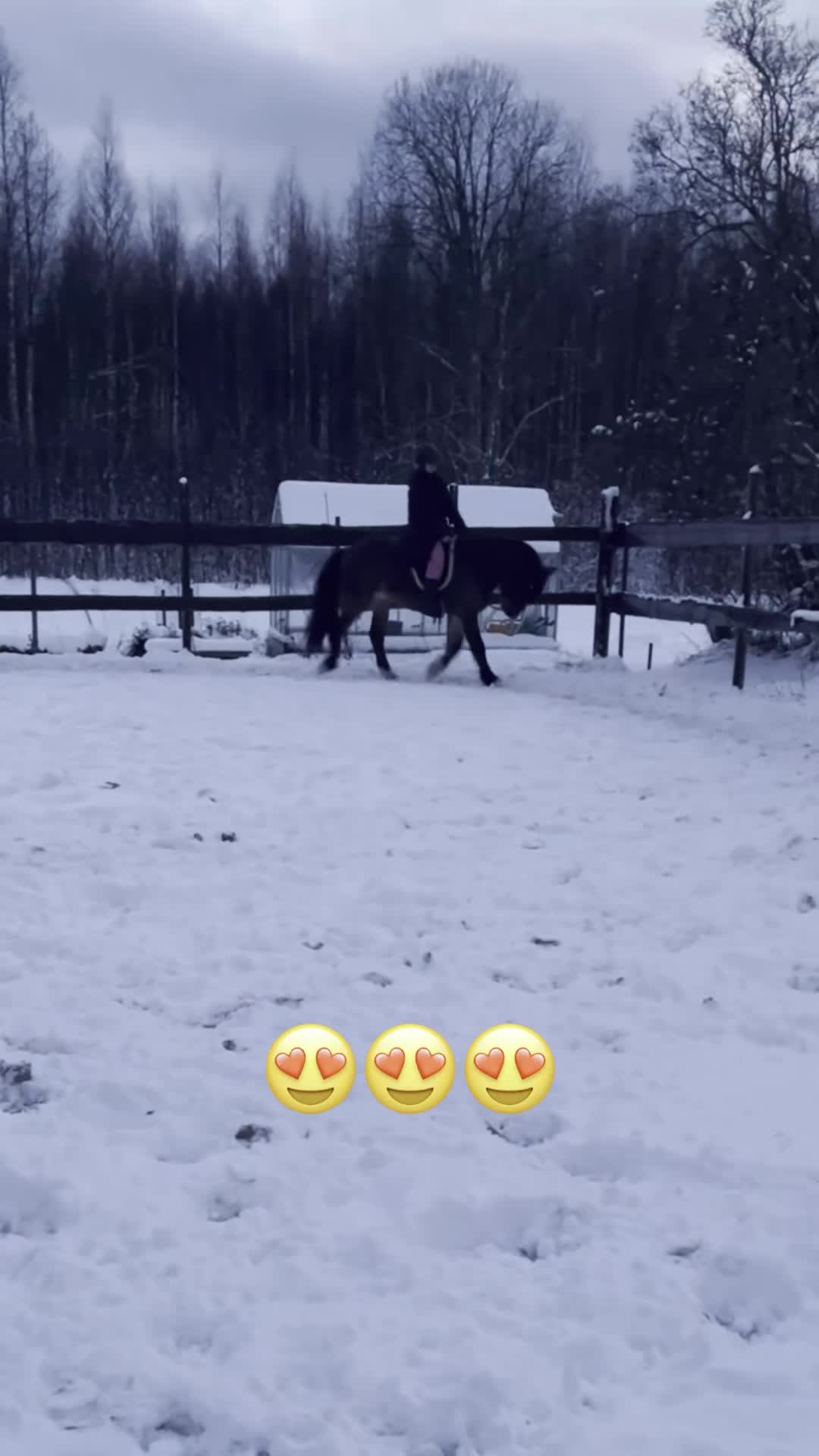 Allround hästar till salu: Världens bästa Lurex❤️ - Video 3
