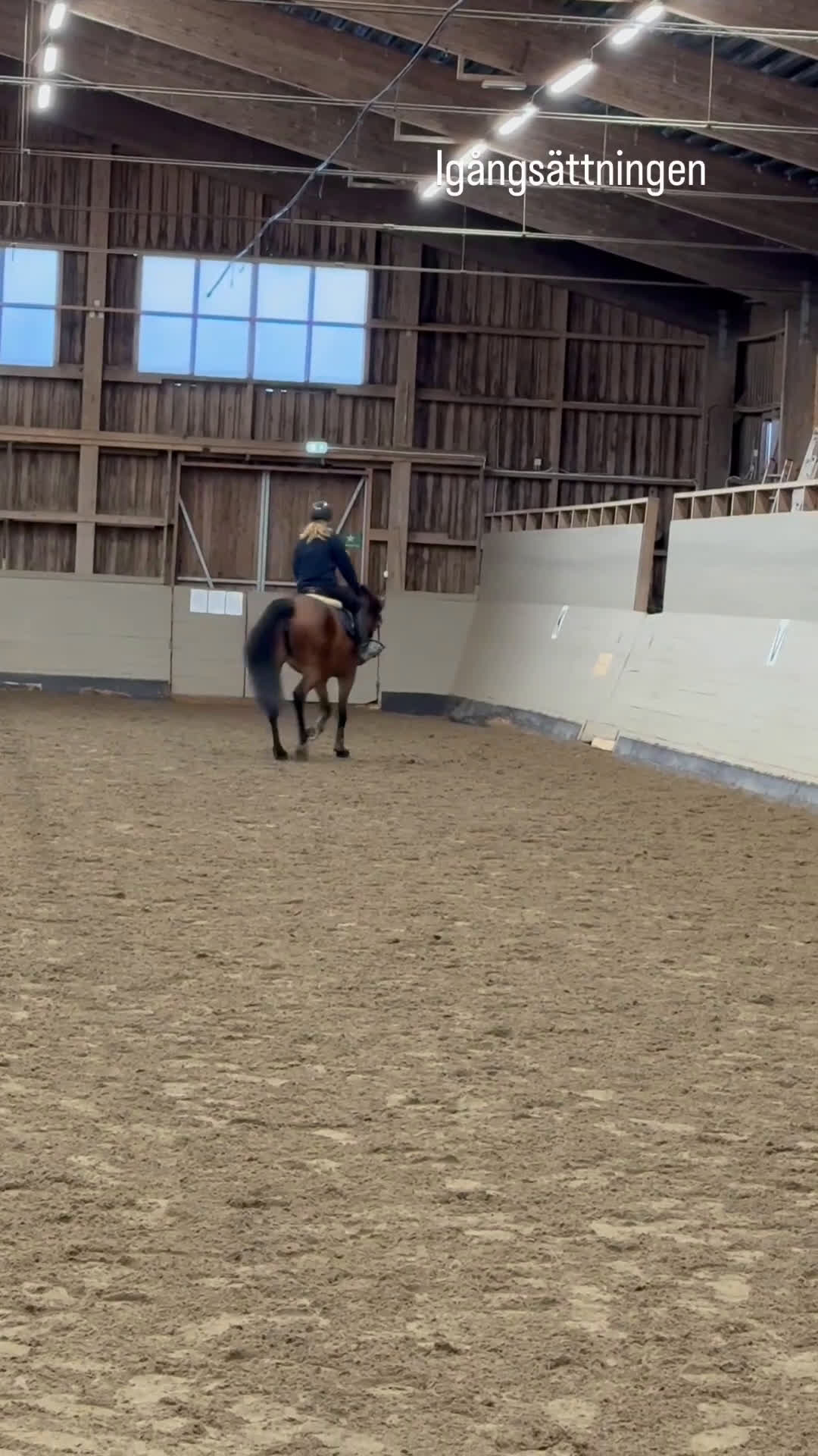 Hoppning hästar till salu: *Reserverad* Finstammat sto - Video 3