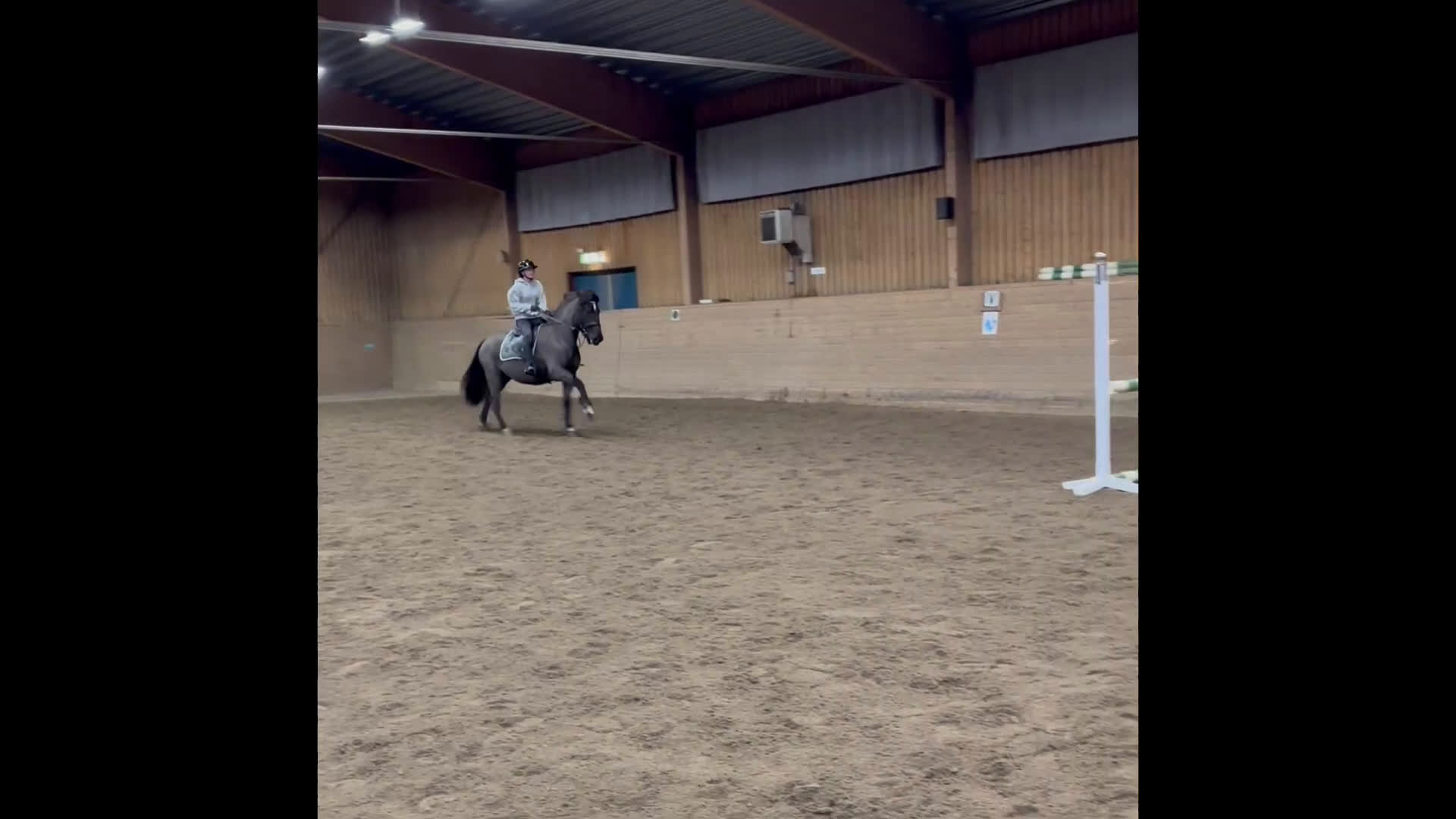 Allround hästar till salu: Riktigt fin ridhäst säljes  - Video 1