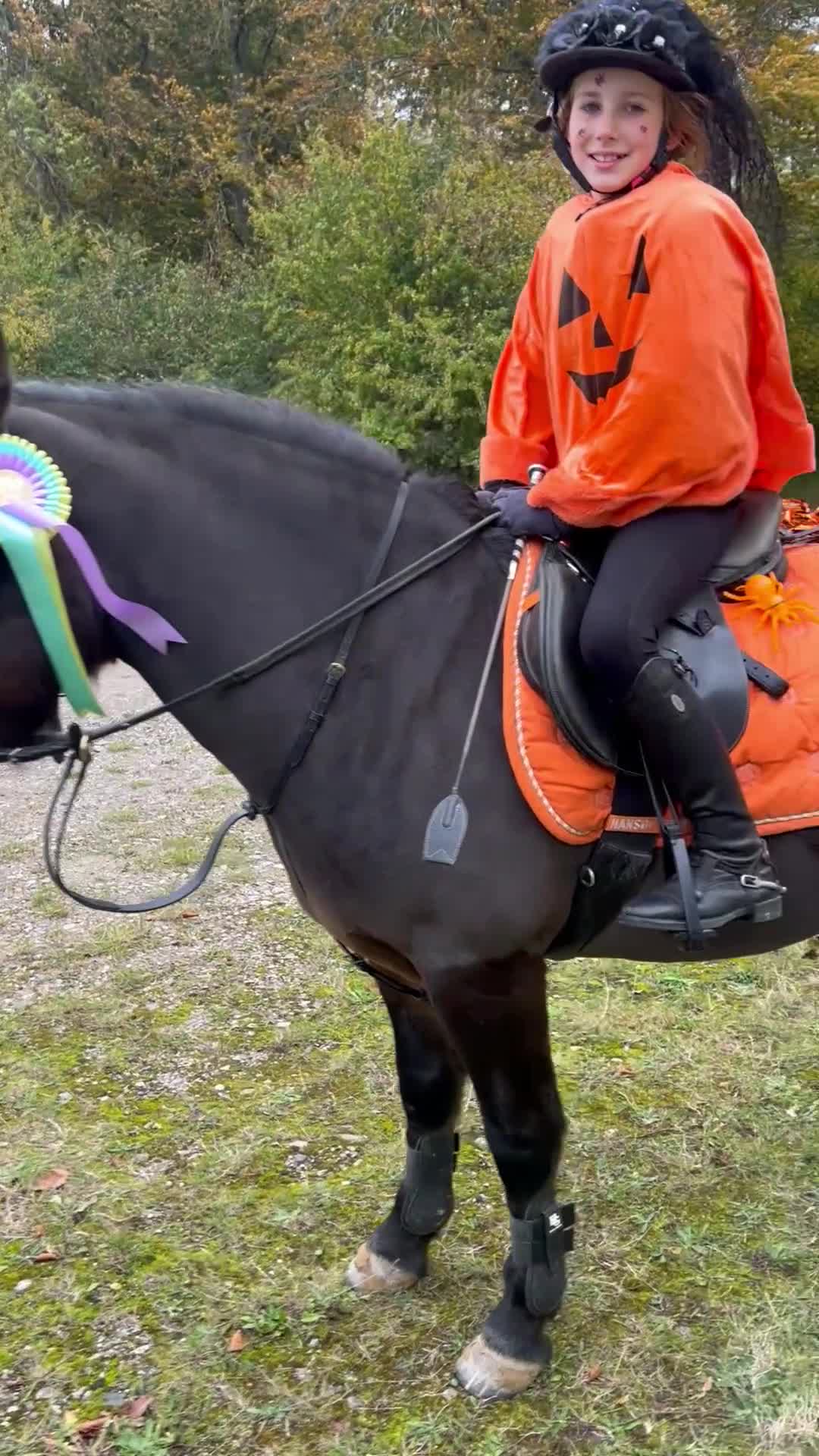 Allround hästar till salu: Trygg B-ponny - perfekt första ponny 🐴 - Video 2
