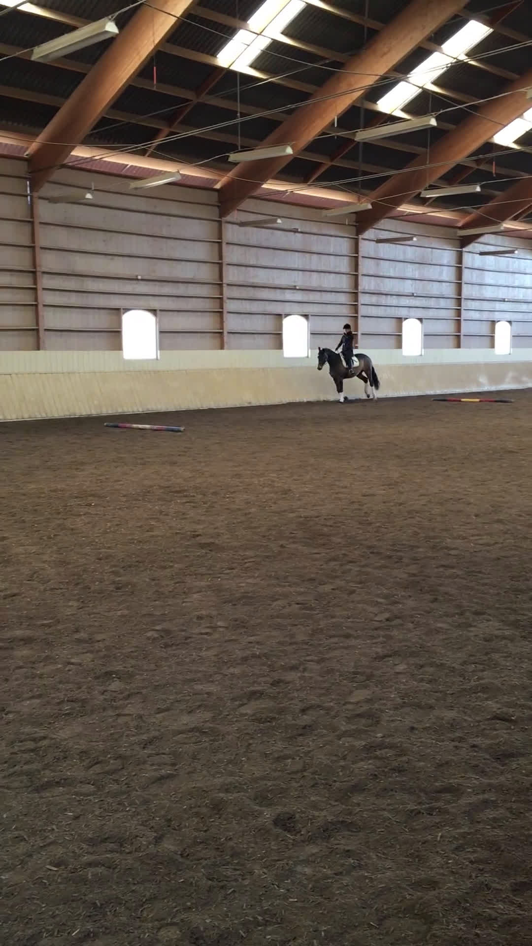  foderhäst sökes: Foderhäst sökes  - Video 1