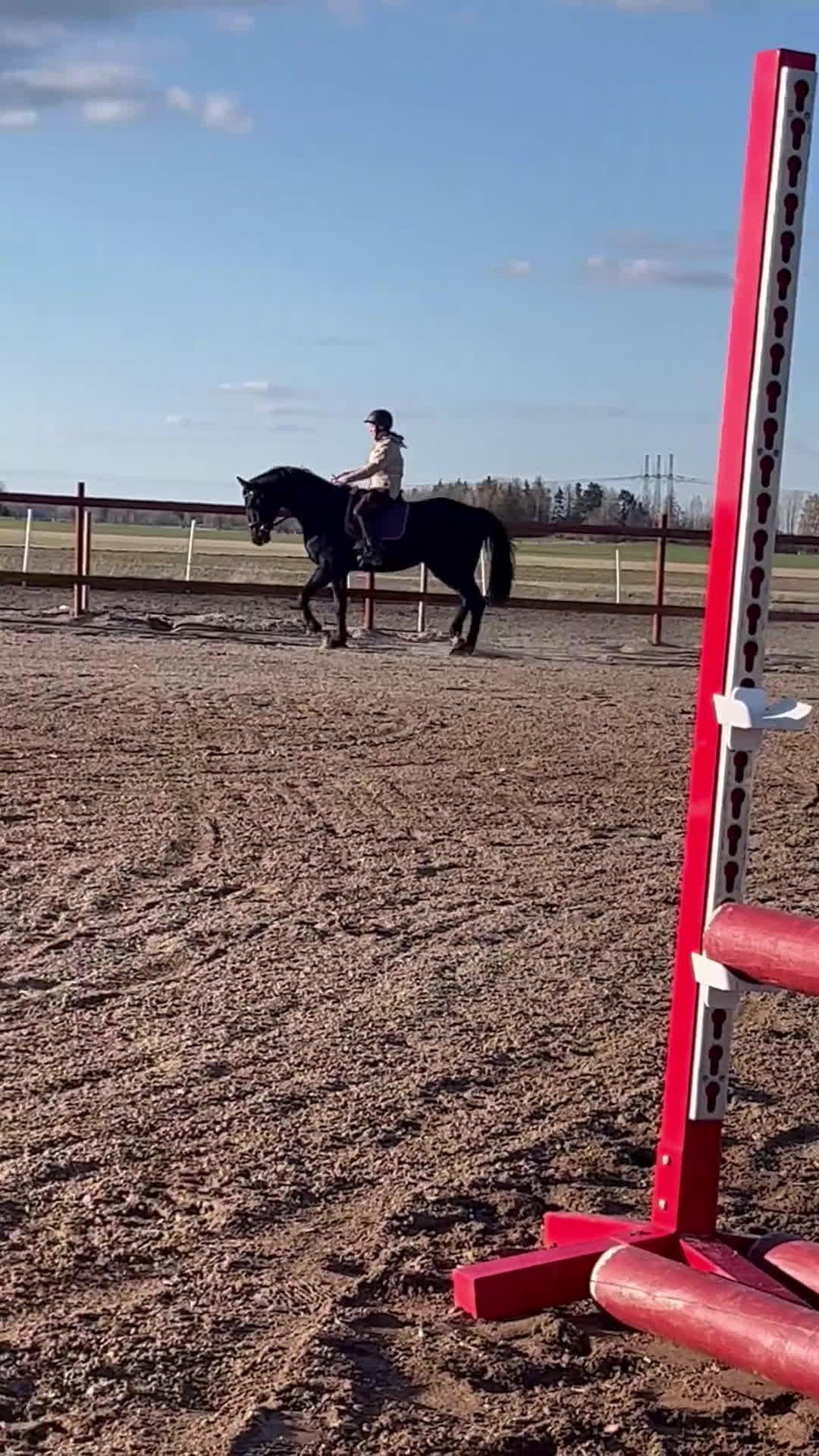 Dressyr hästar till salu: Oslipad diamant - Video 2