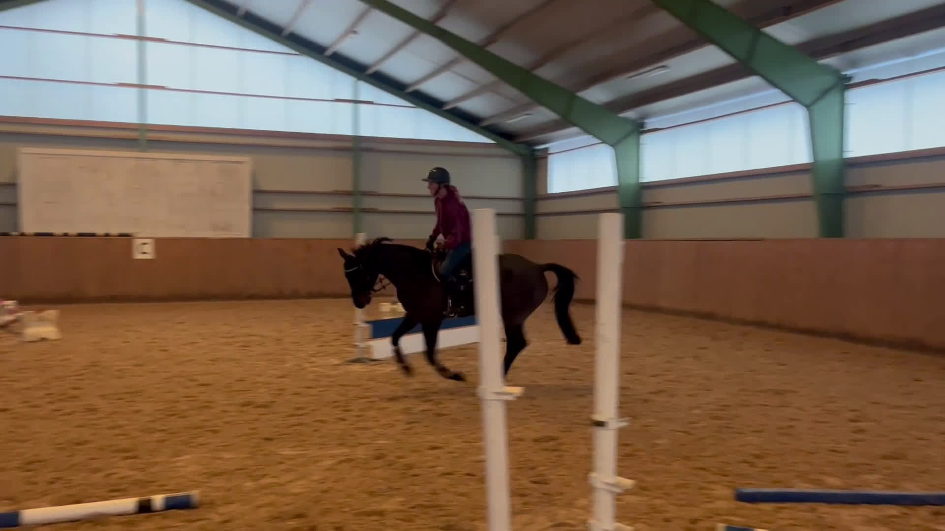 Hoppning hästar till salu: Drömhästen finns här! SÅLD! i Höör - Video 1