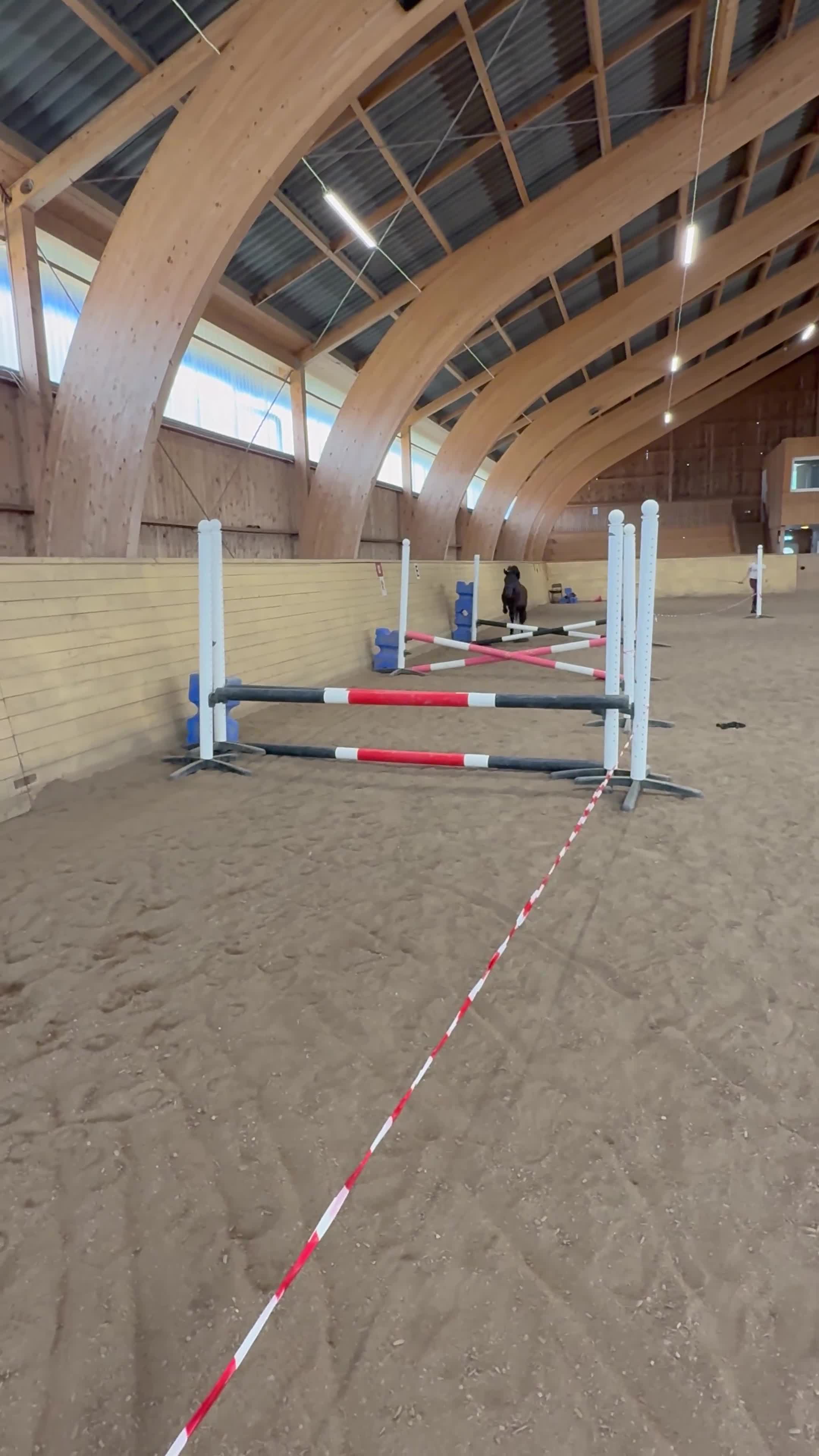 Allround hästar till salu: Pigg och glad B-ponny valack till salu  - Video 1