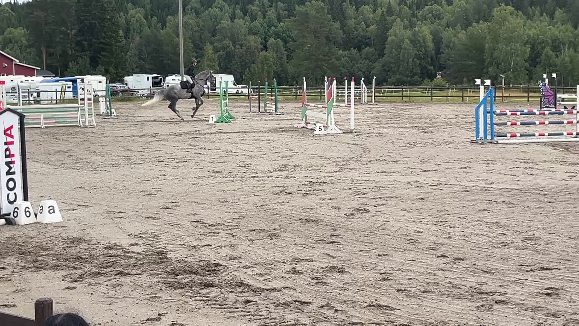 Allround hästar till salu: Trevlig valack e:Action Man Ask Z i Örnsköldsvik - Video 2