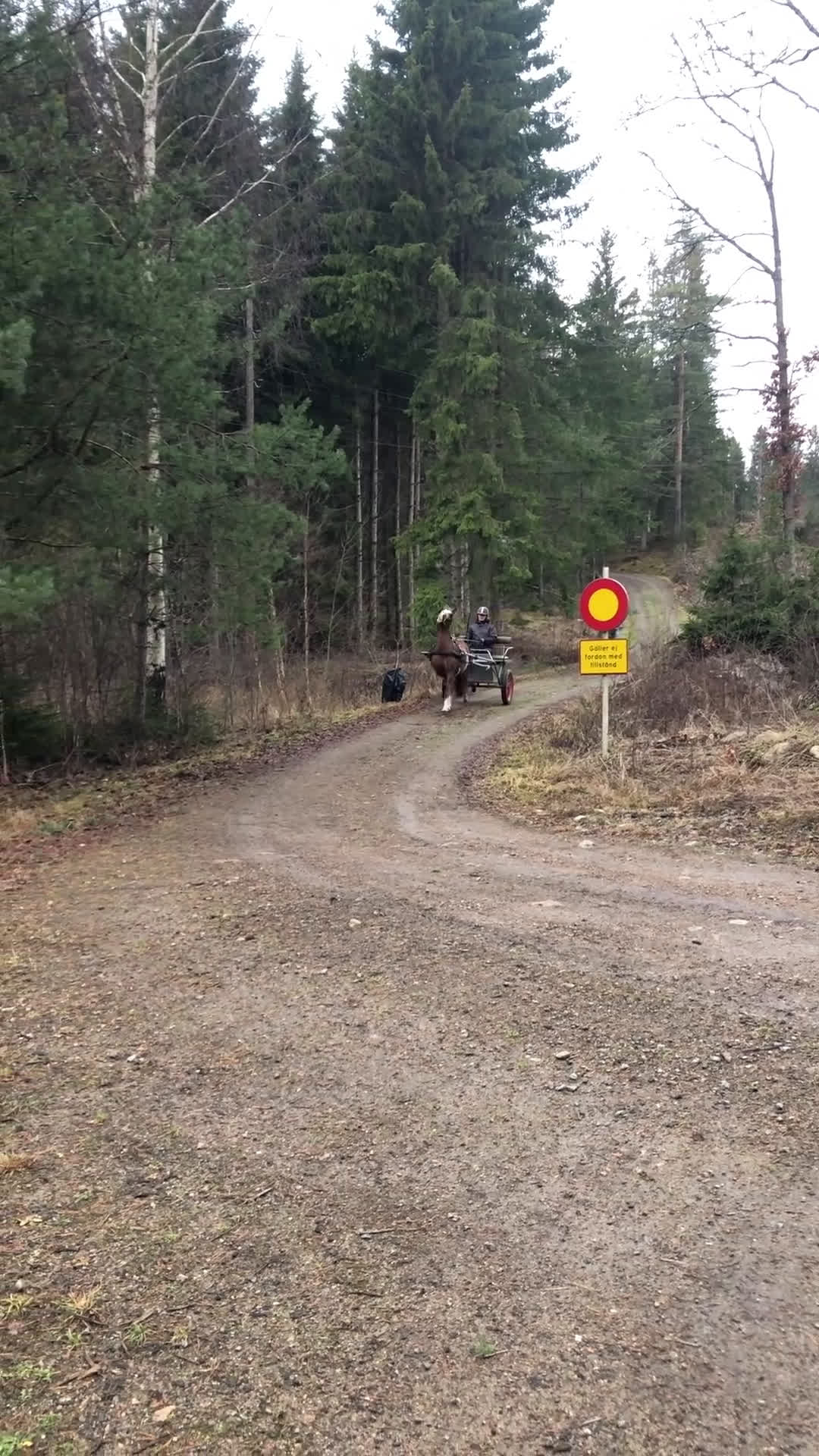 Allround hästar till salu: Fina Anna Bella  - Video 1