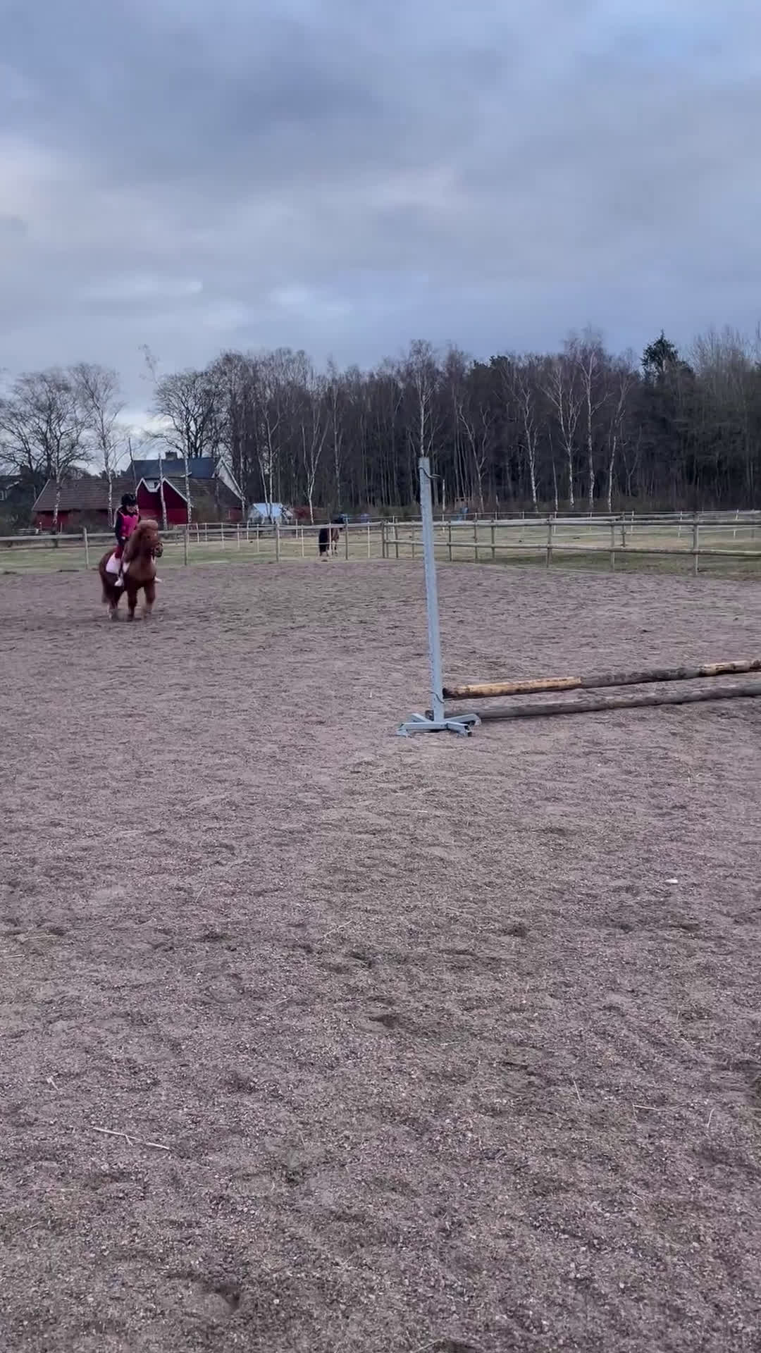 Allround hästar till salu: Bästa läromästaren  - Video 3