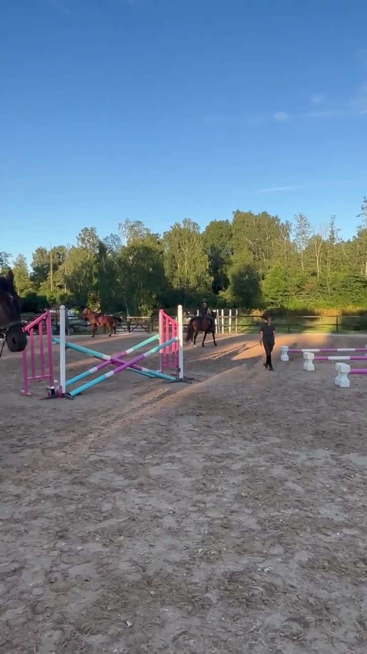 Allround hästar till salu: Totte - Video 2