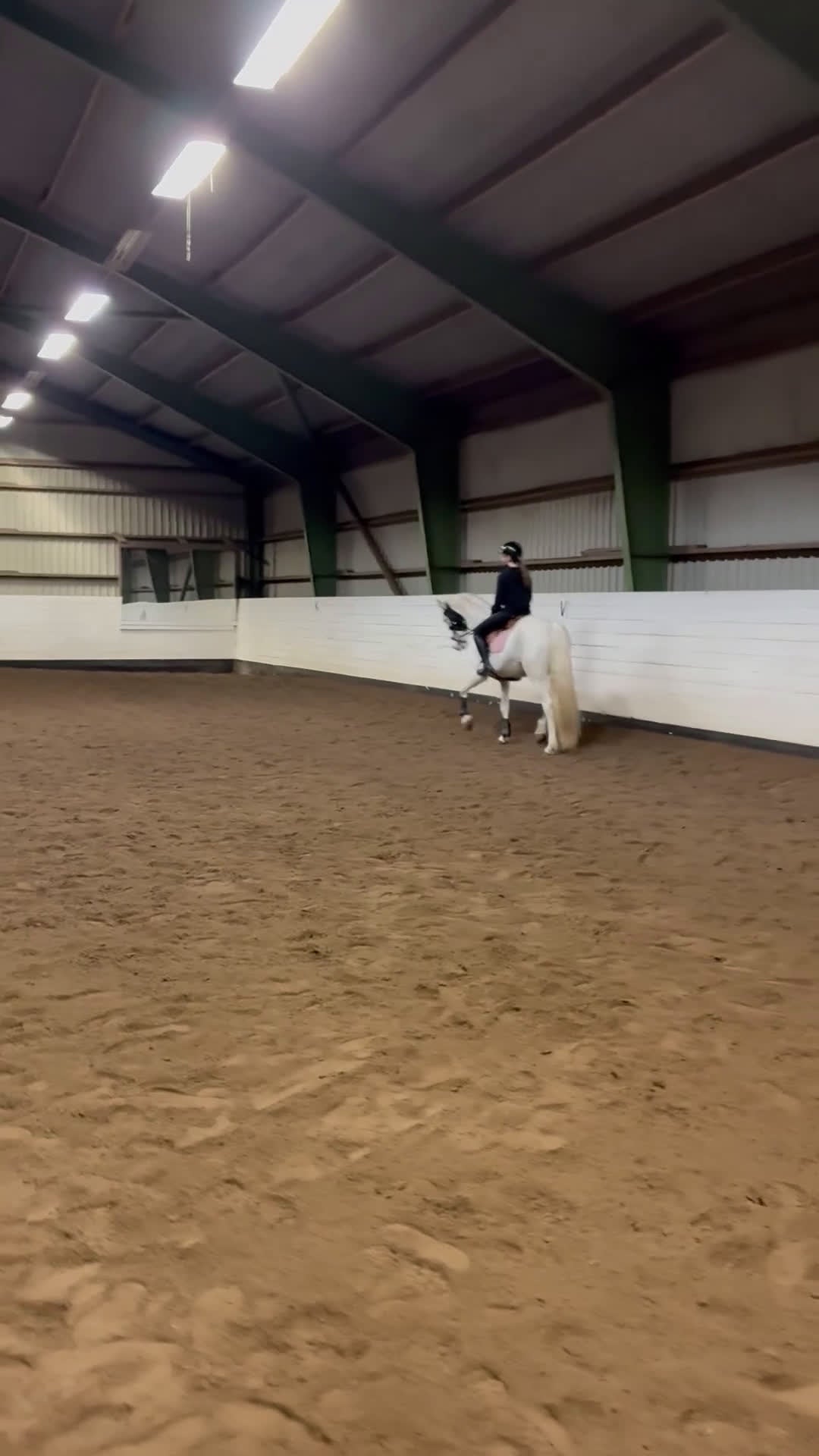 Allround hästar till salu: Fin häst för den som vill ha utmaning - Video 3