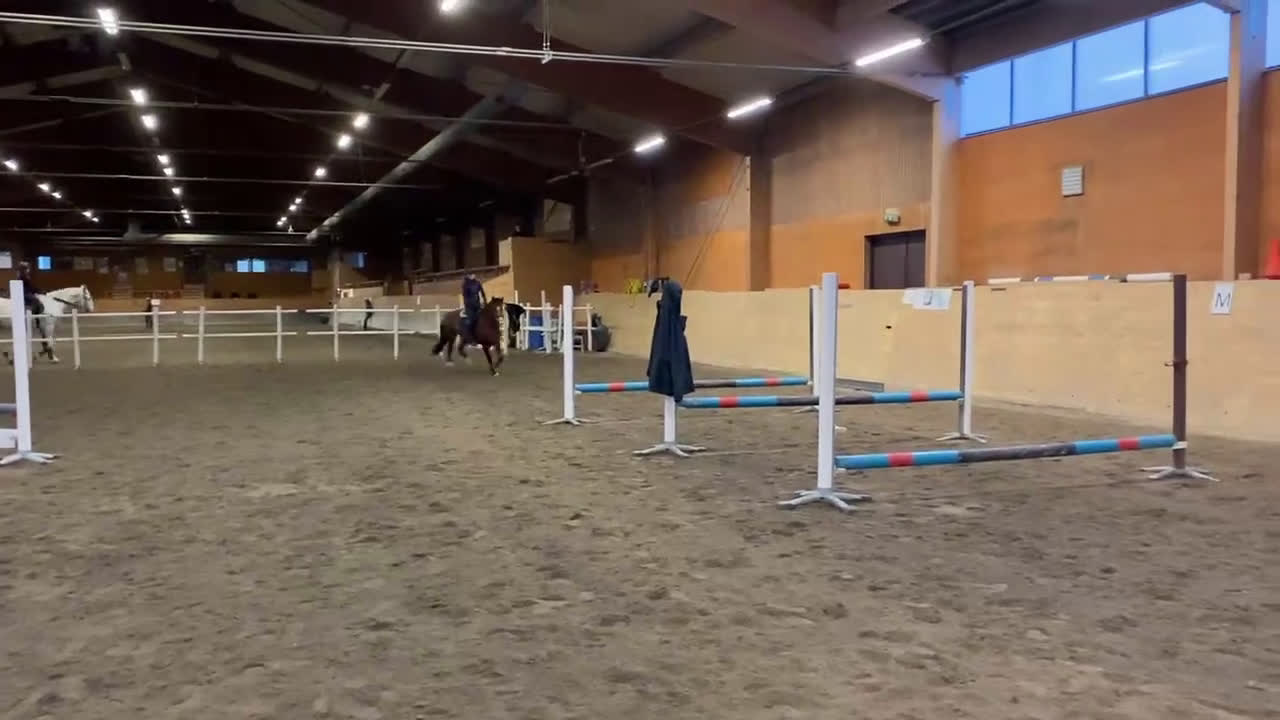 Hoppning hästar till salu: Lovande C-ponny i Bollnäs - Video 2