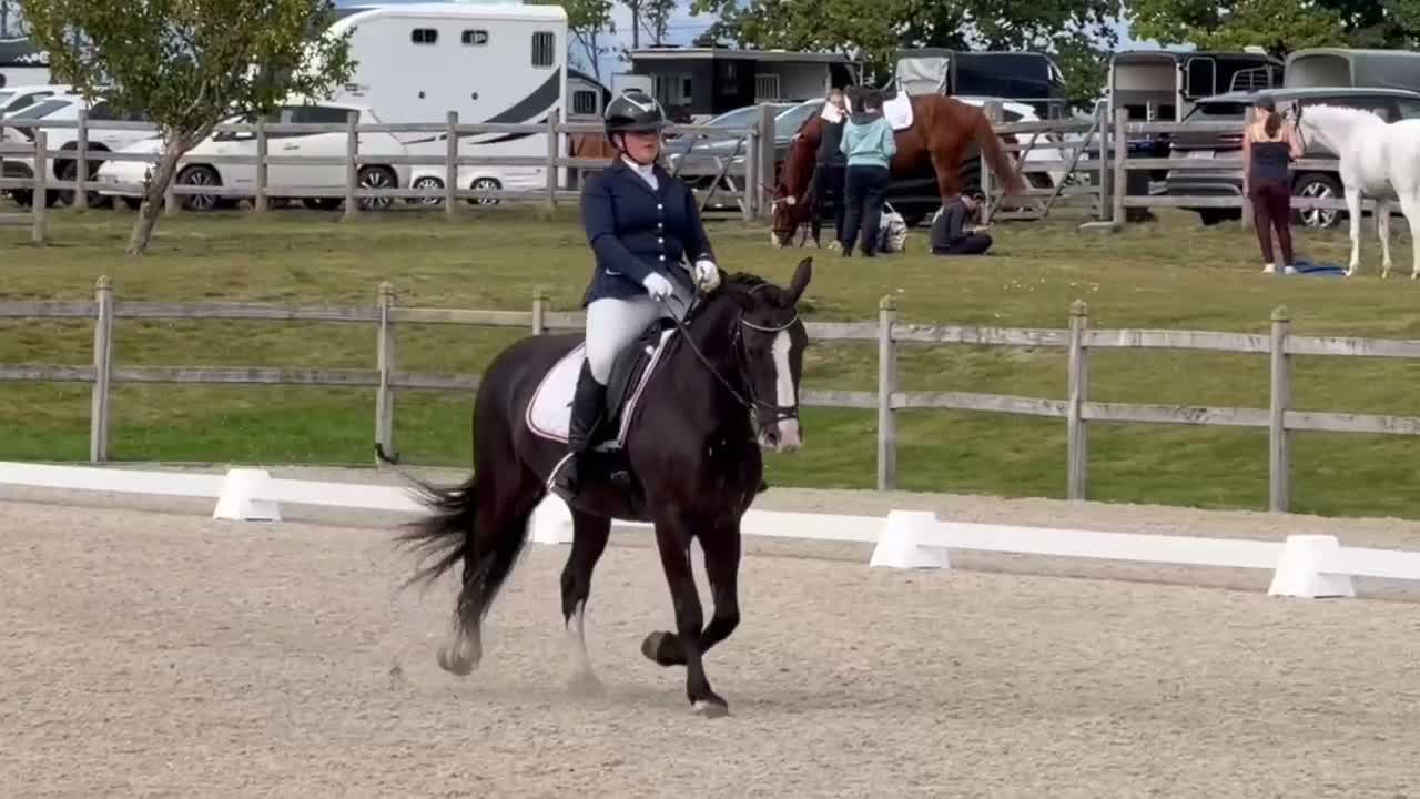 Allround hästar till salu: Irsk sportsponni selges! Allround!  i Mysen - Video 2