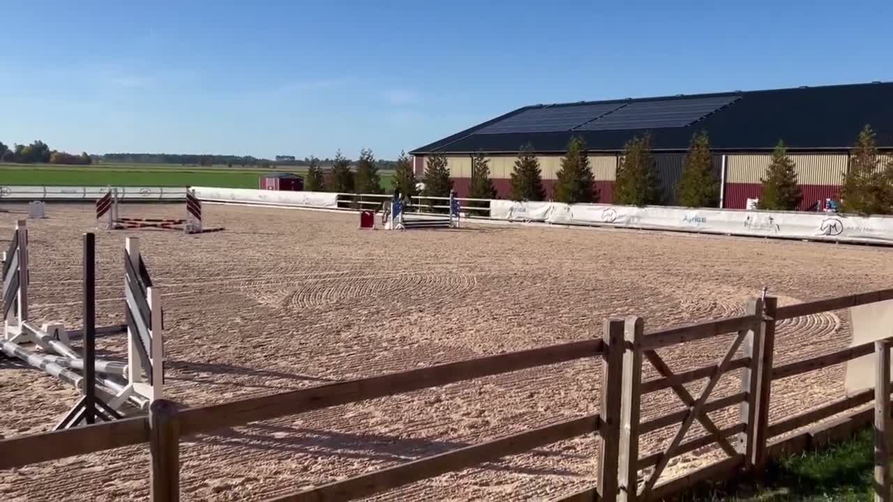 Allround hästar till salu: Superhärlig ungponny!❣️ - Video 1
