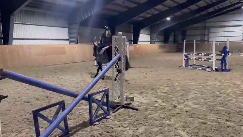 Fälttävlan hästar till salu: Fantastiskt sto säljes  - Video 2