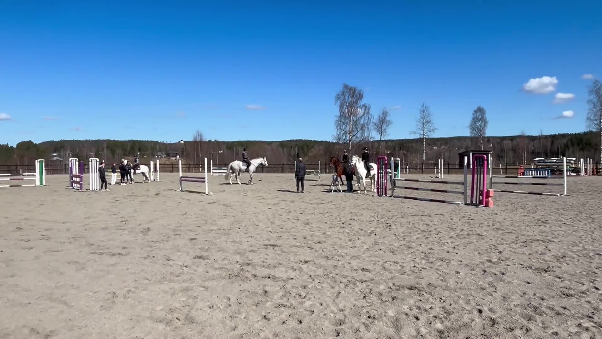 Hoppning hästar till salu: Fin hopphäst🌟 - Video 1